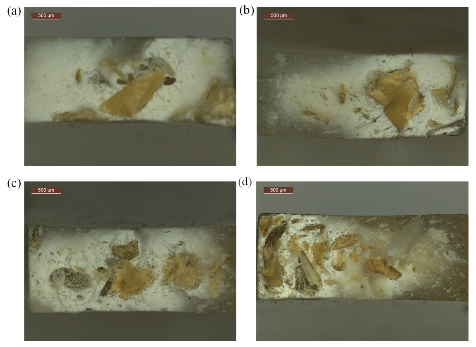 Polymers 14 05335 g007 Polymers 14 05335 g007