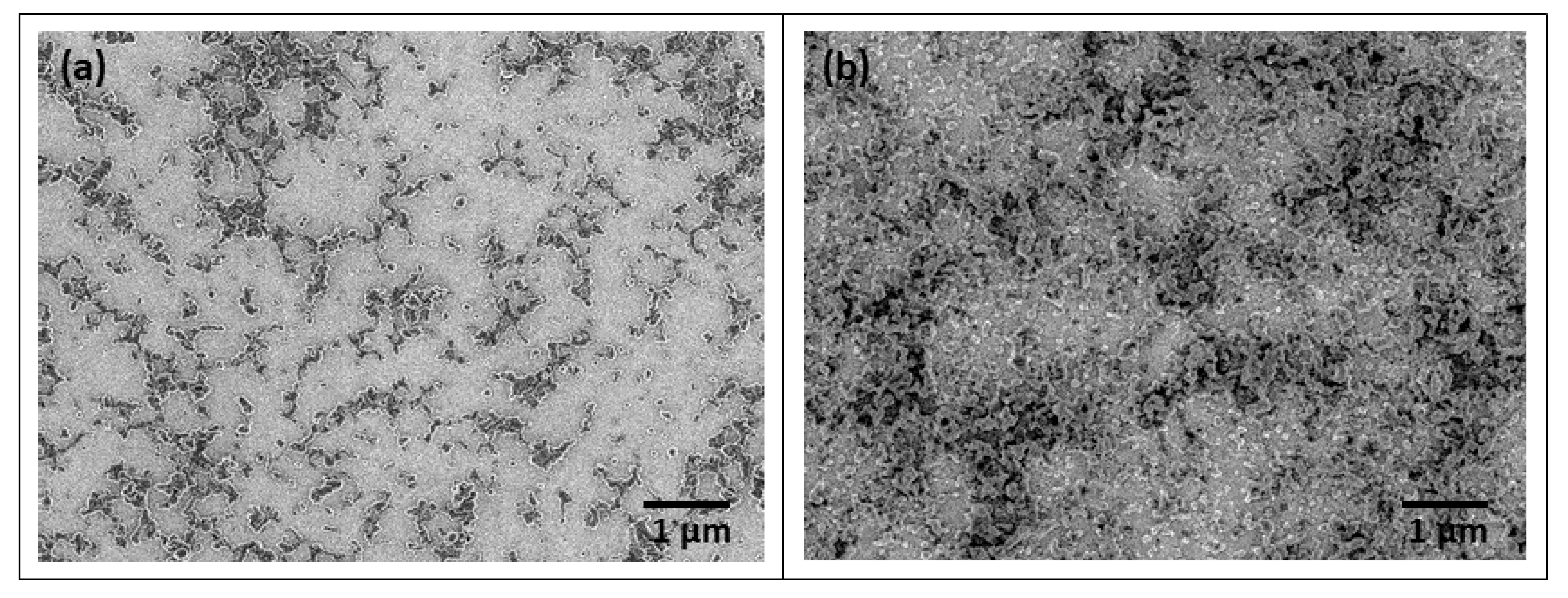Polymers 14 05336 g004 Polymers 14 05336 g004