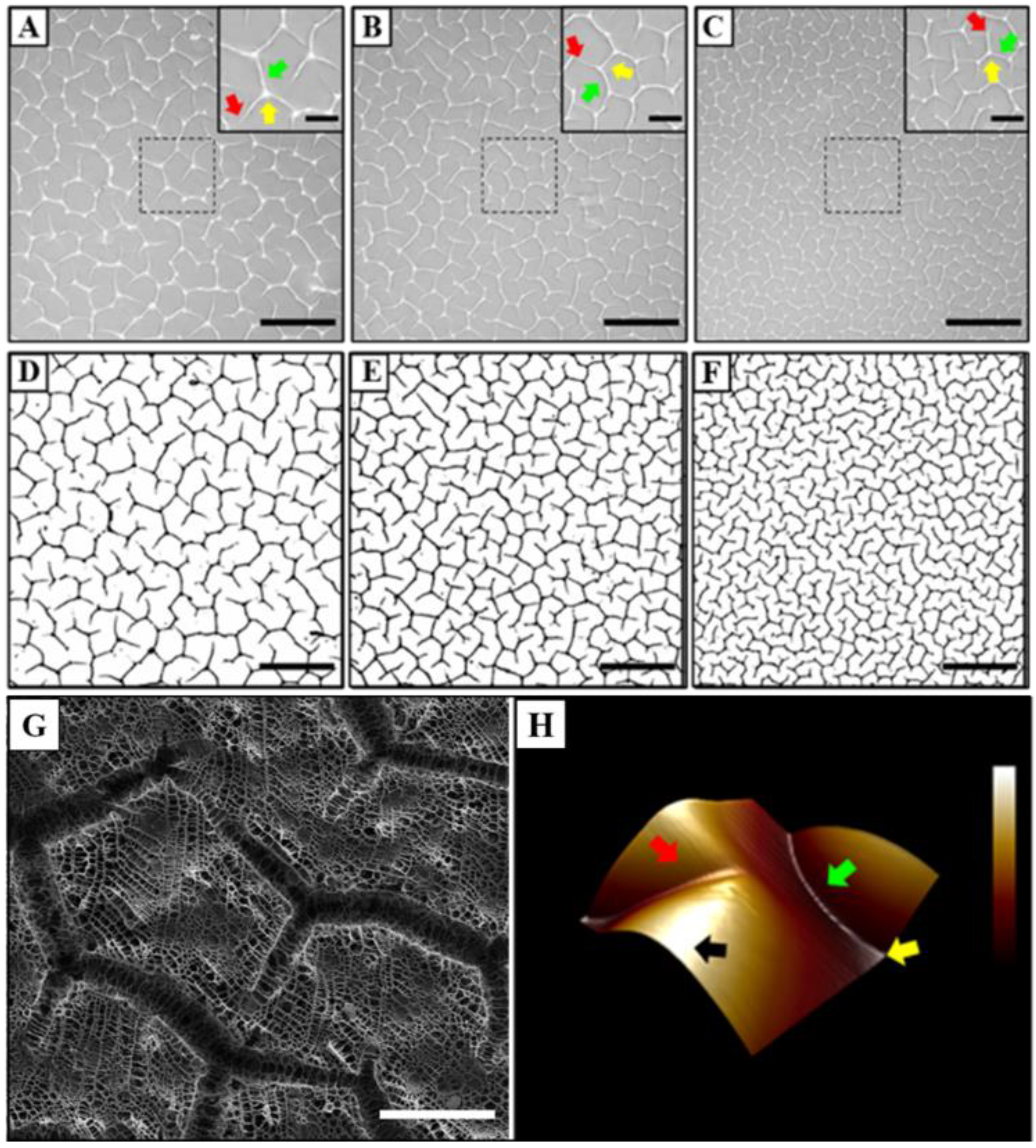 Polymers 14 05338 g001