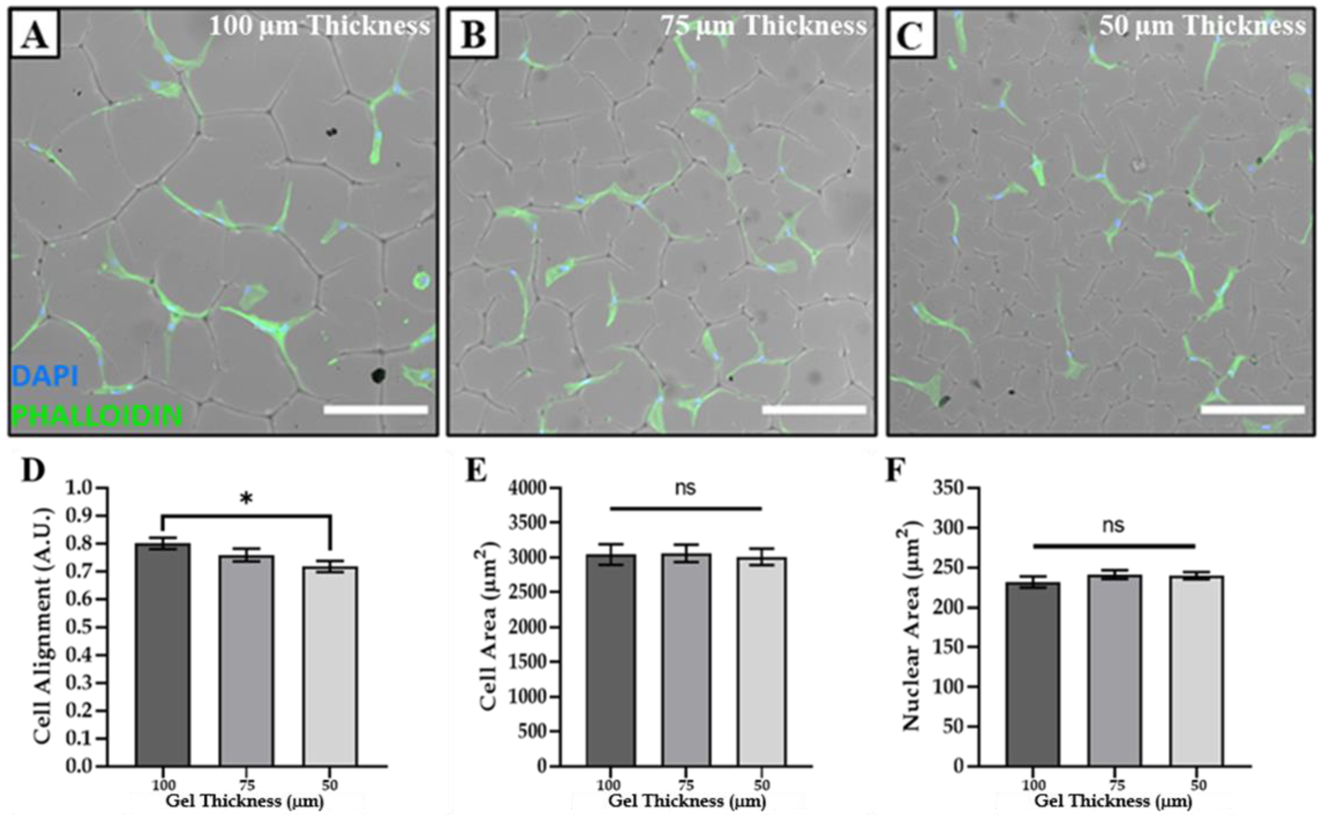 Polymers 14 05338 g005
