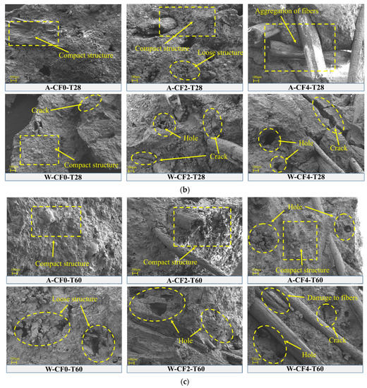 Effect of Water Immersion on Compressive Properties of Coir