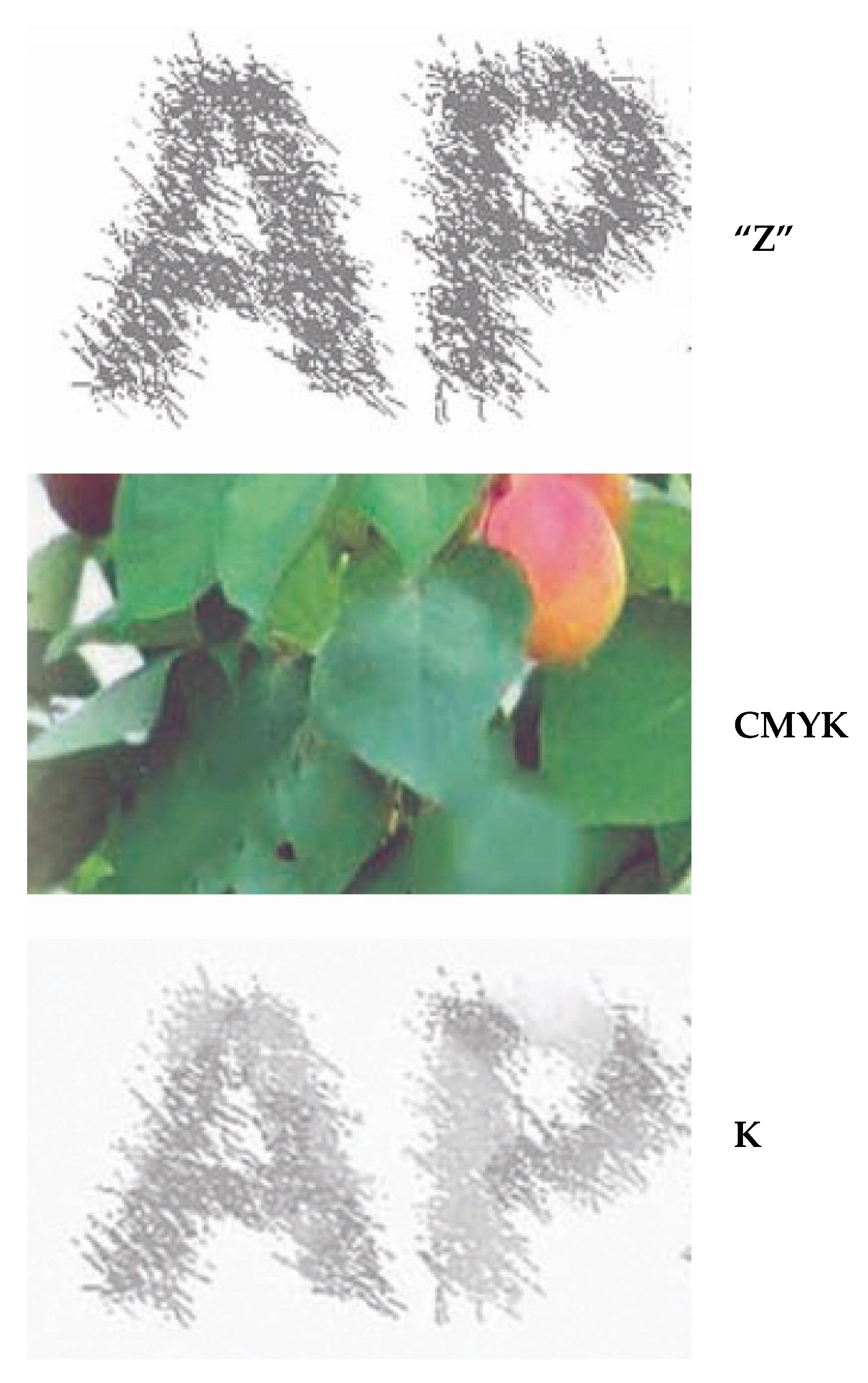 Polymers 14 05341 g003