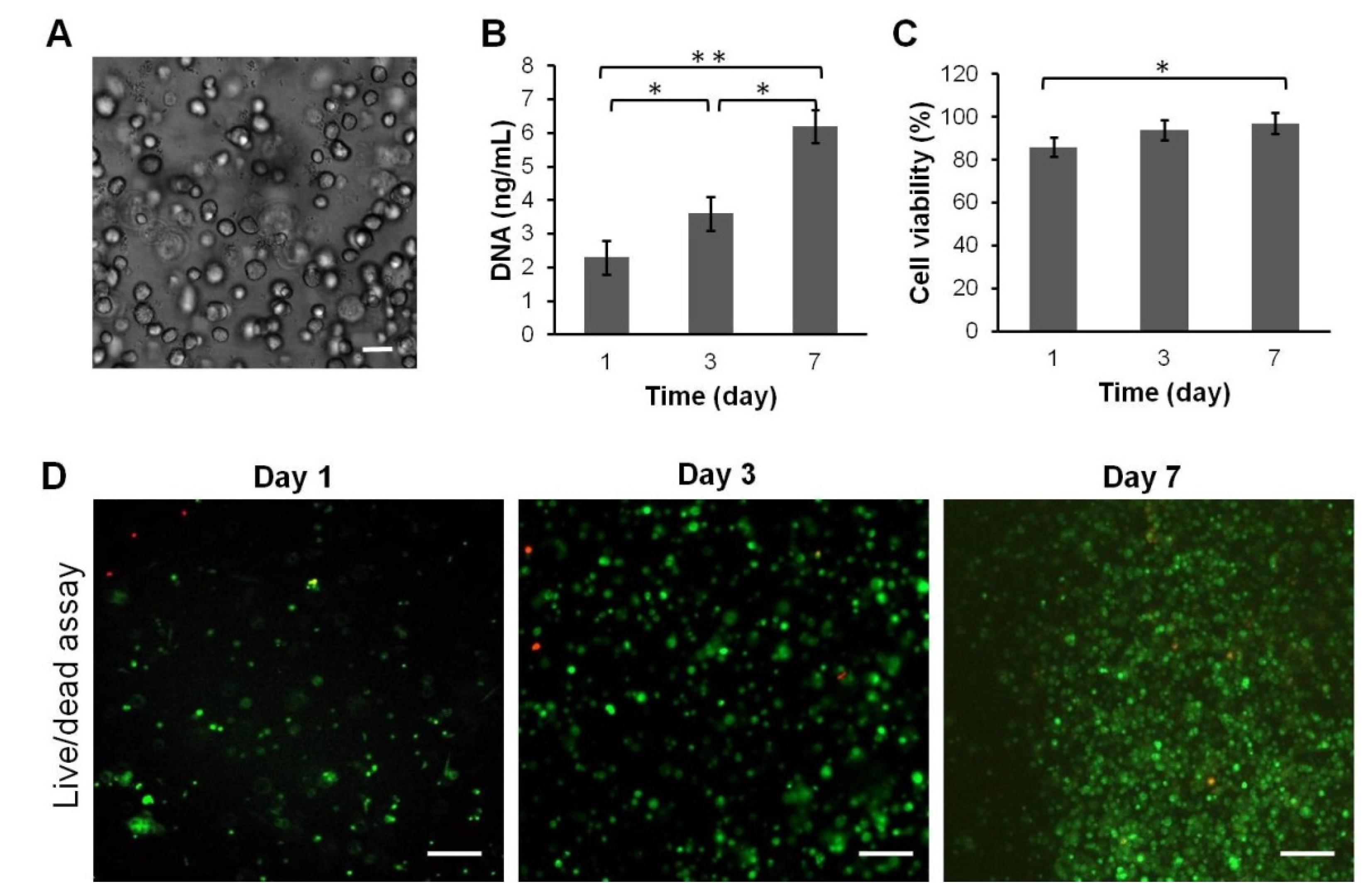 Polymers 14 05343 g004