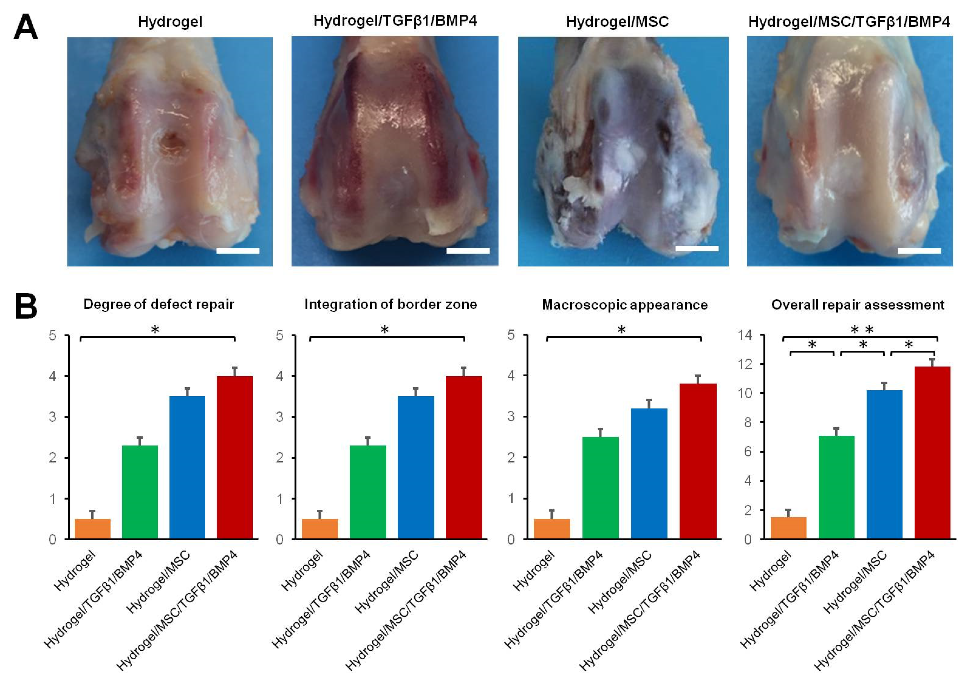 Polymers 14 05343 g005