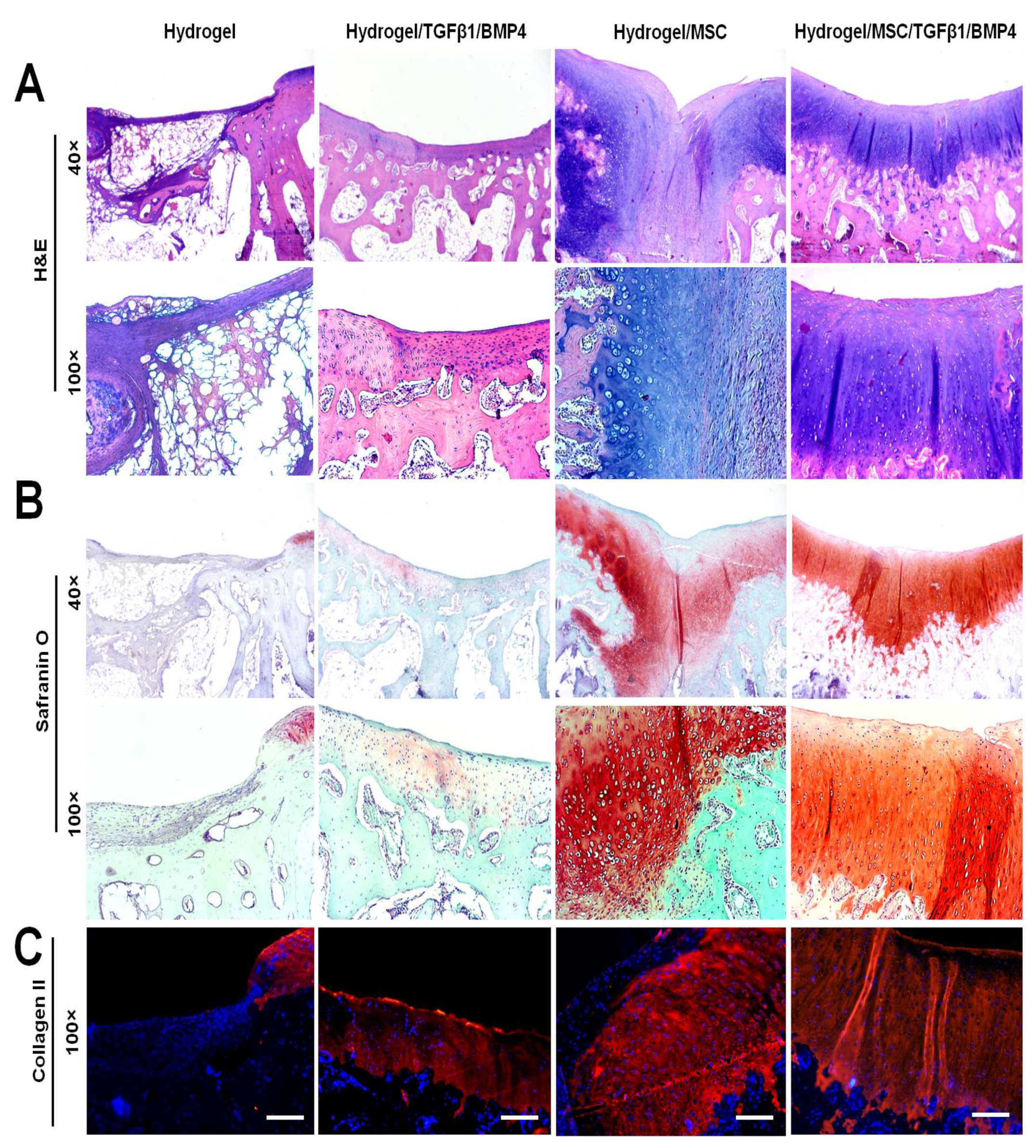 Polymers 14 05343 g006