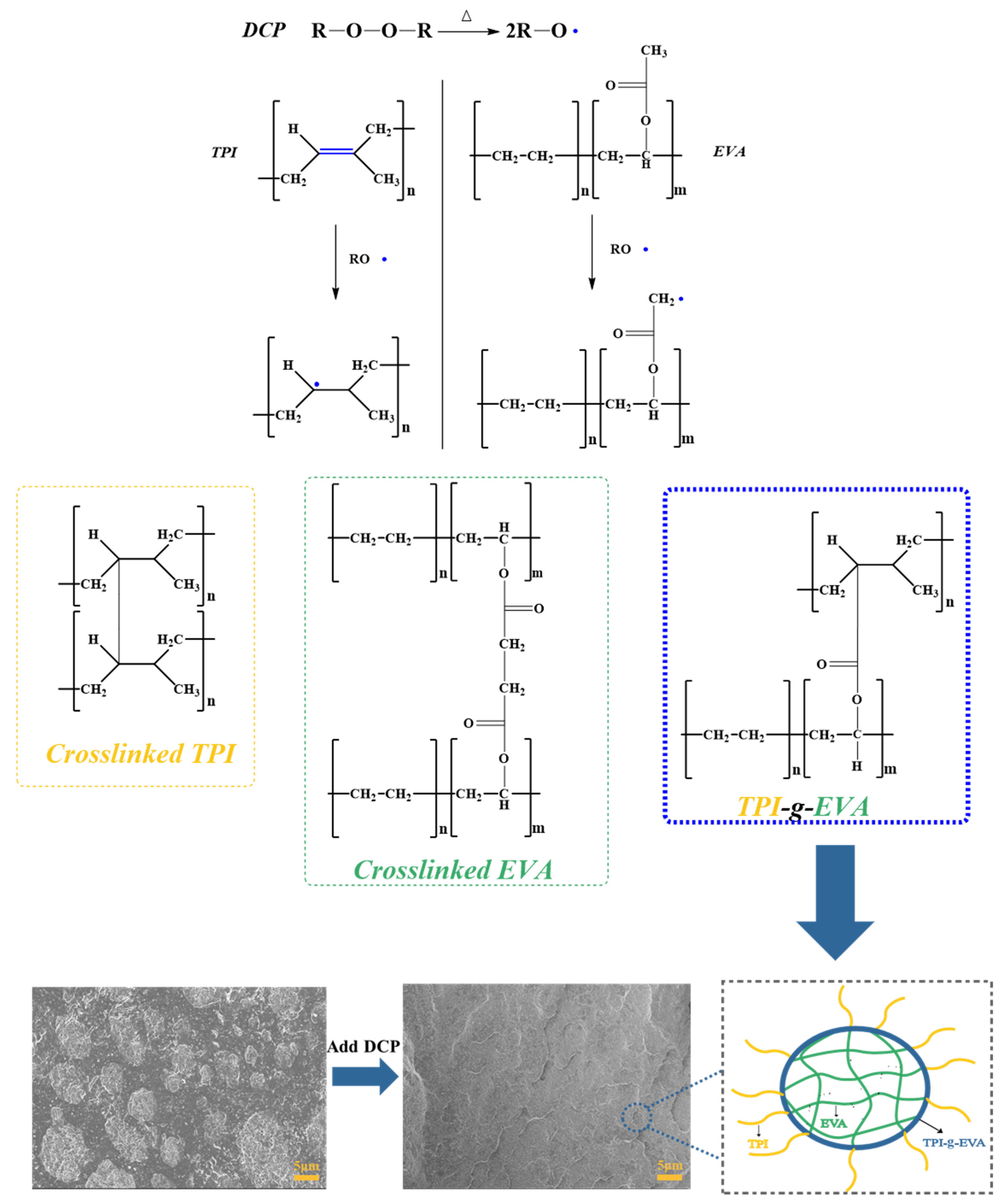Polymers 14 05344 sch001 Polymers 14 05344 sch001
