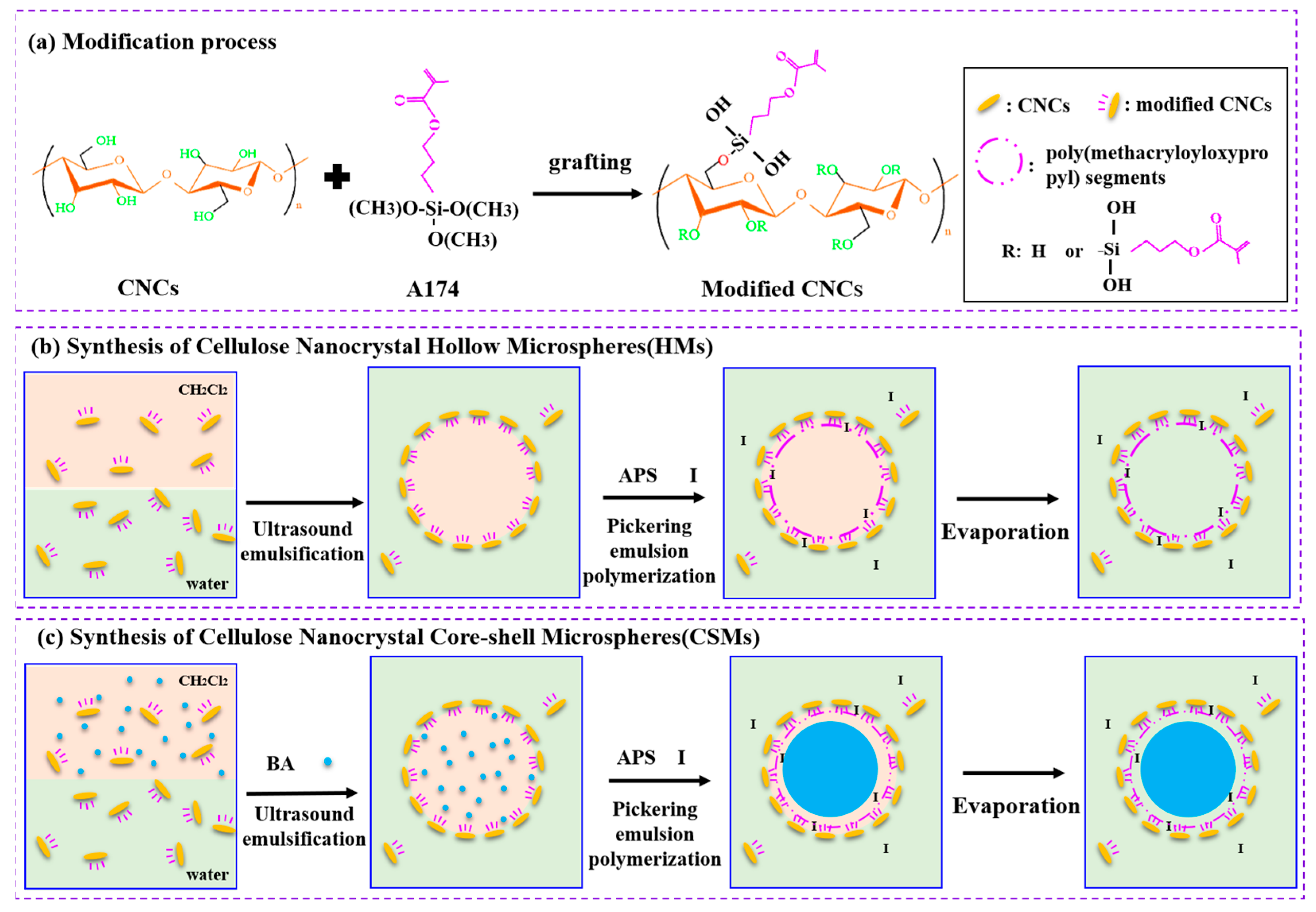 Polymers 14 05345 g001 Polymers 14 05345 g001