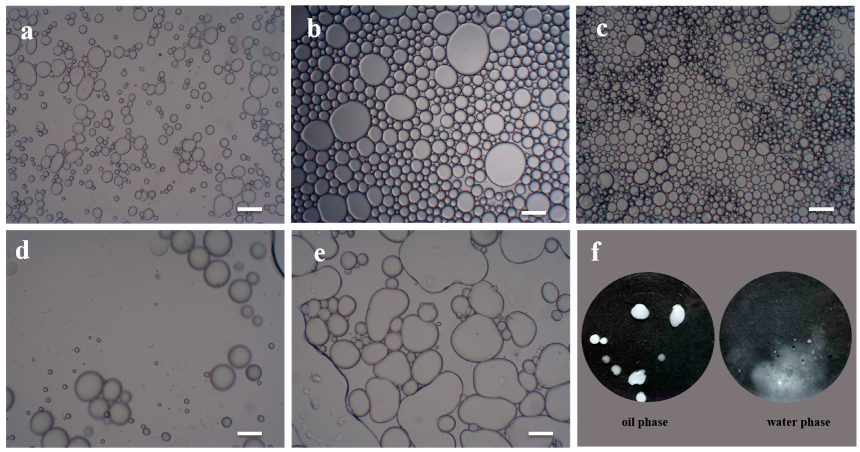 Polymers 14 05345 g006 Polymers 14 05345 g006