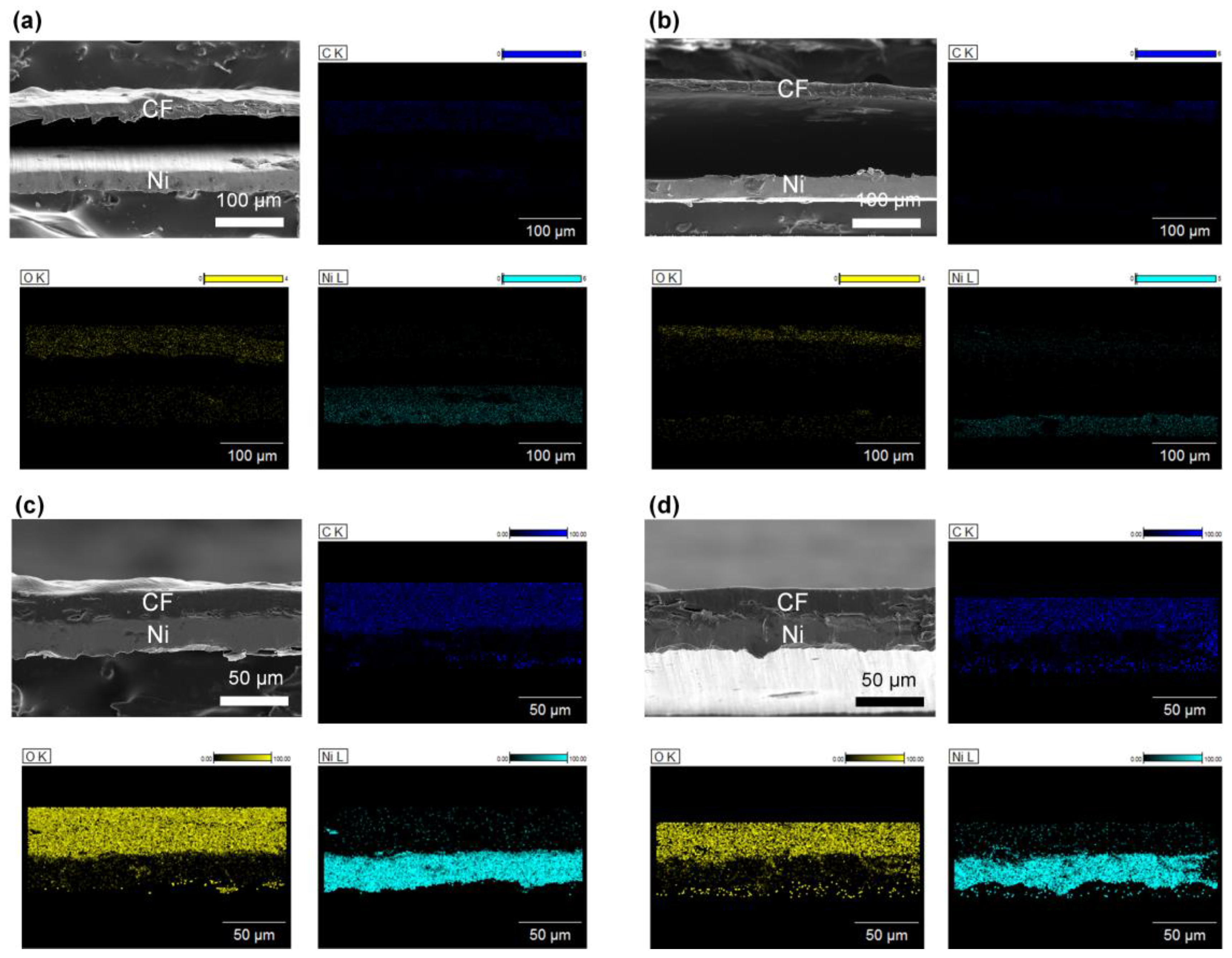 Polymers 14 05347 g006