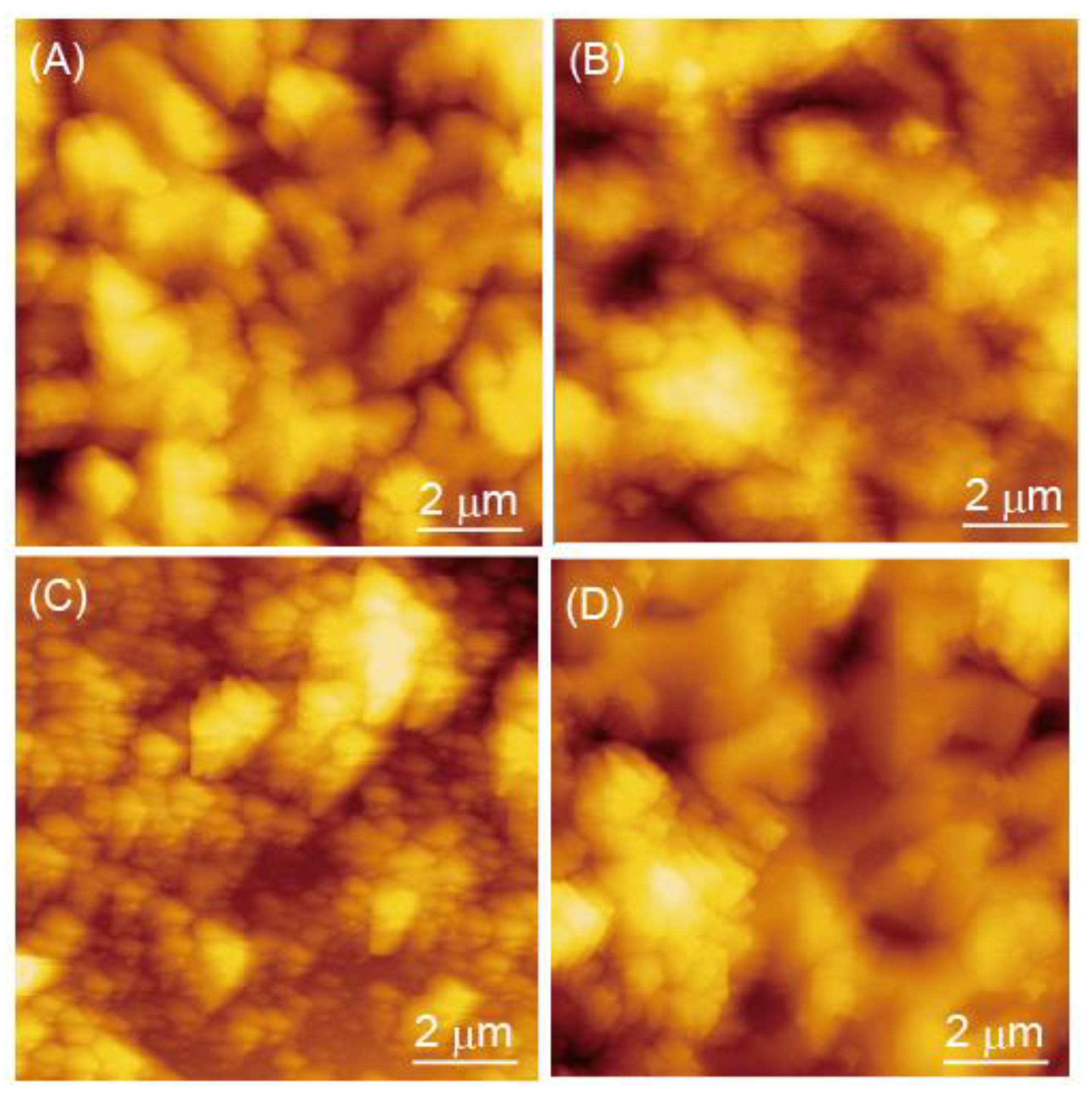 Polymers 14 05349 g005 Polymers 14 05349 g005