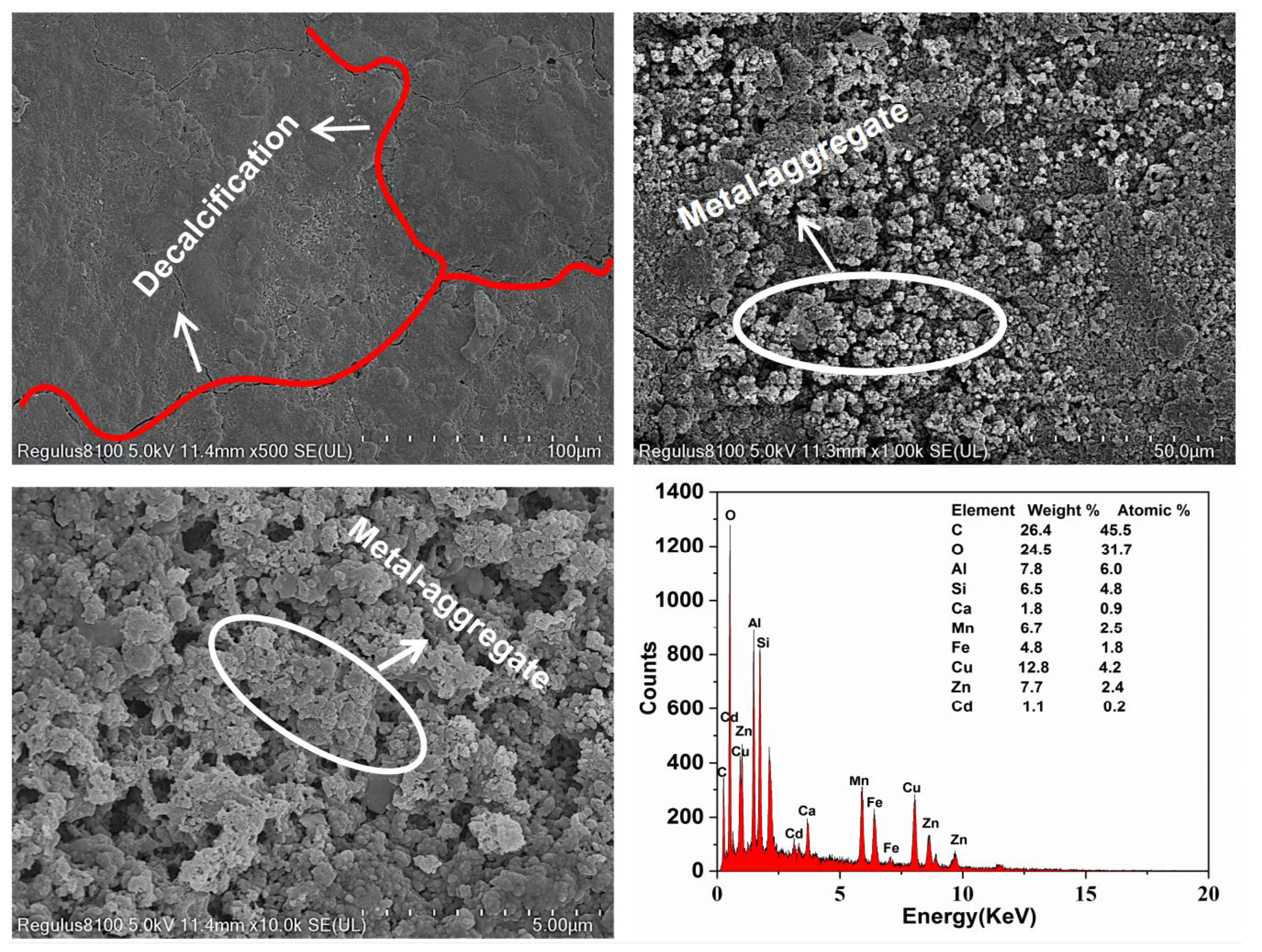 Polymers 14 05355 g007 Polymers 14 05355 g007