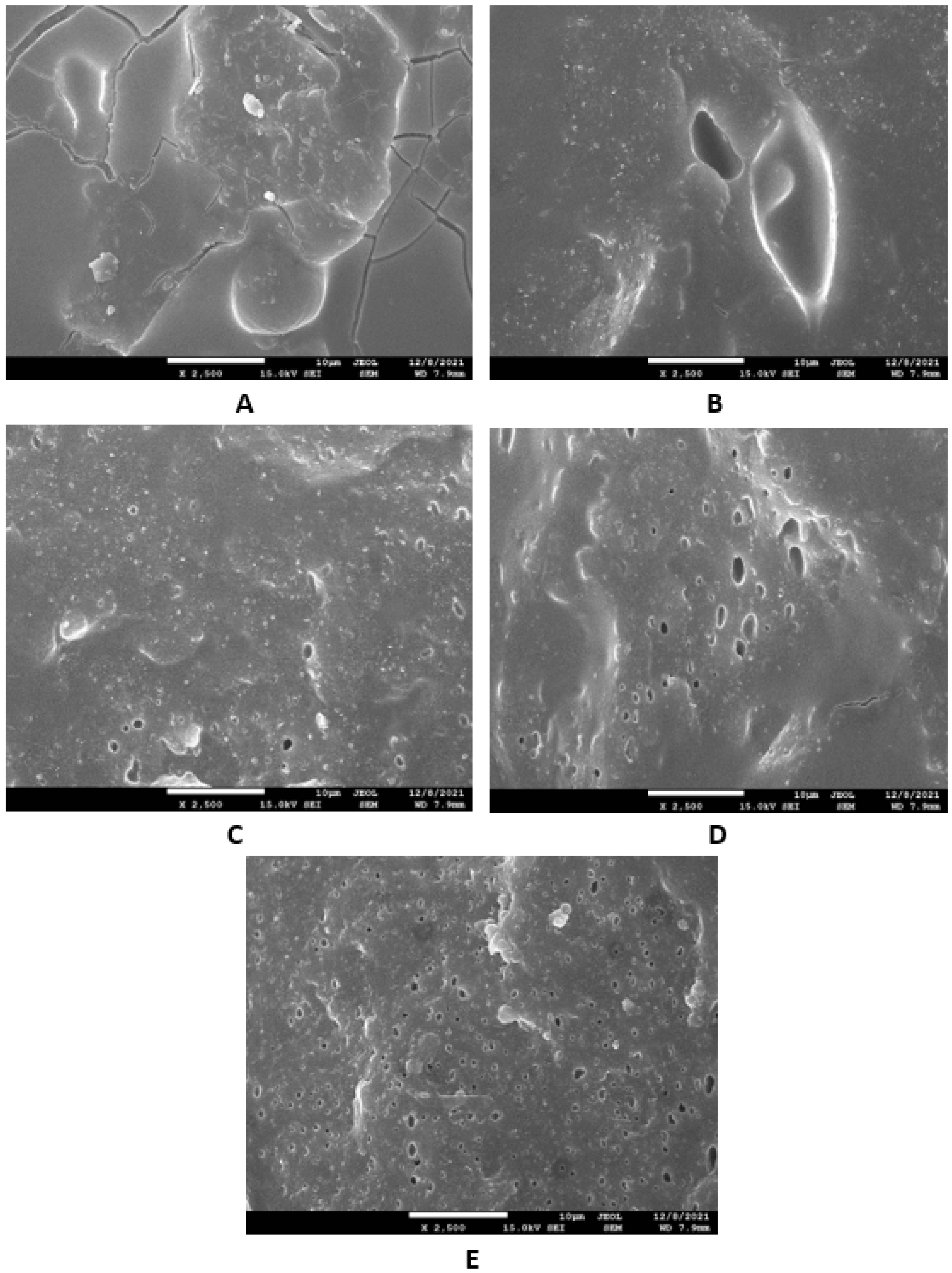 Polymers 14 05356 g019