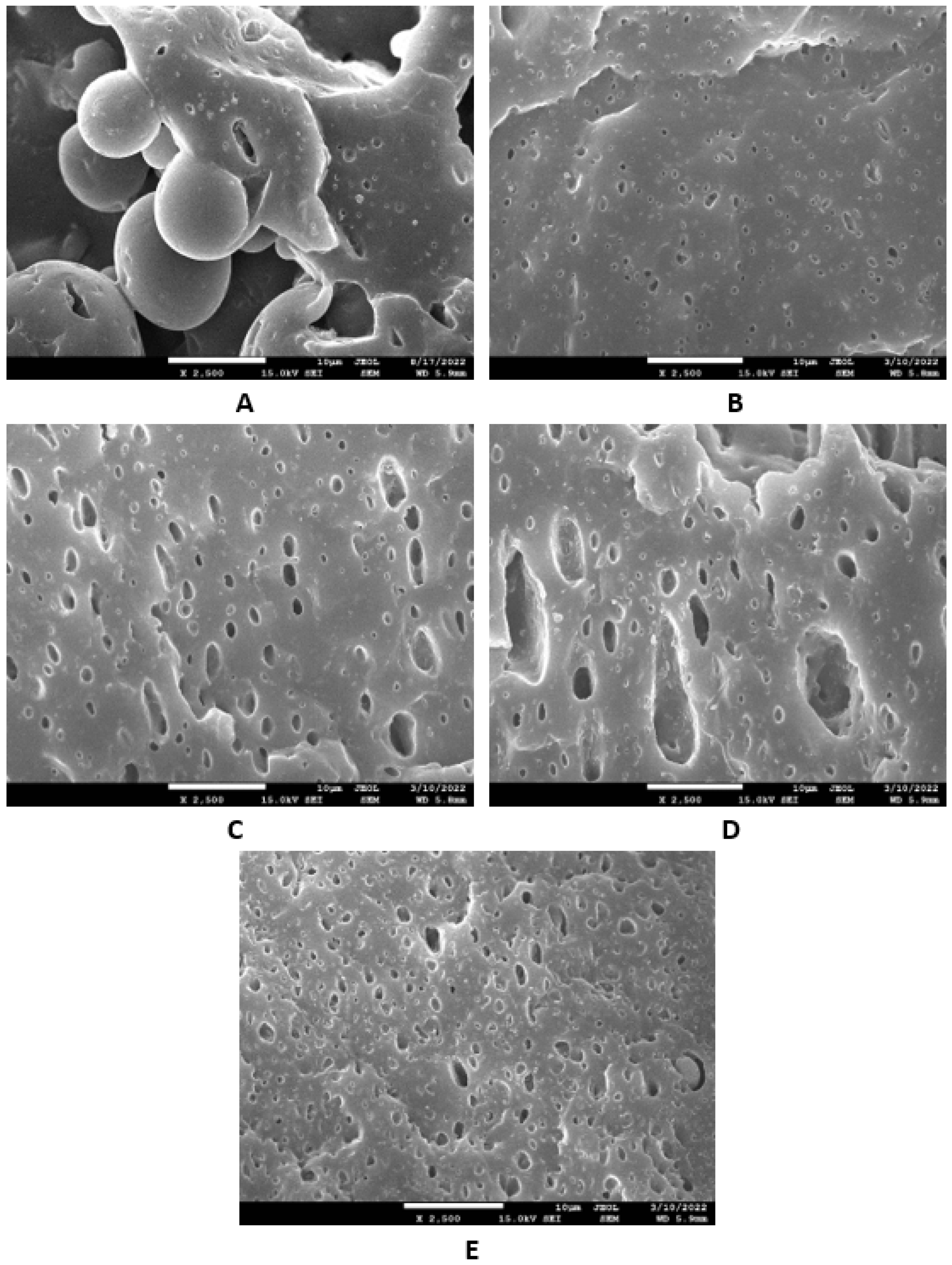 Polymers 14 05356 g020