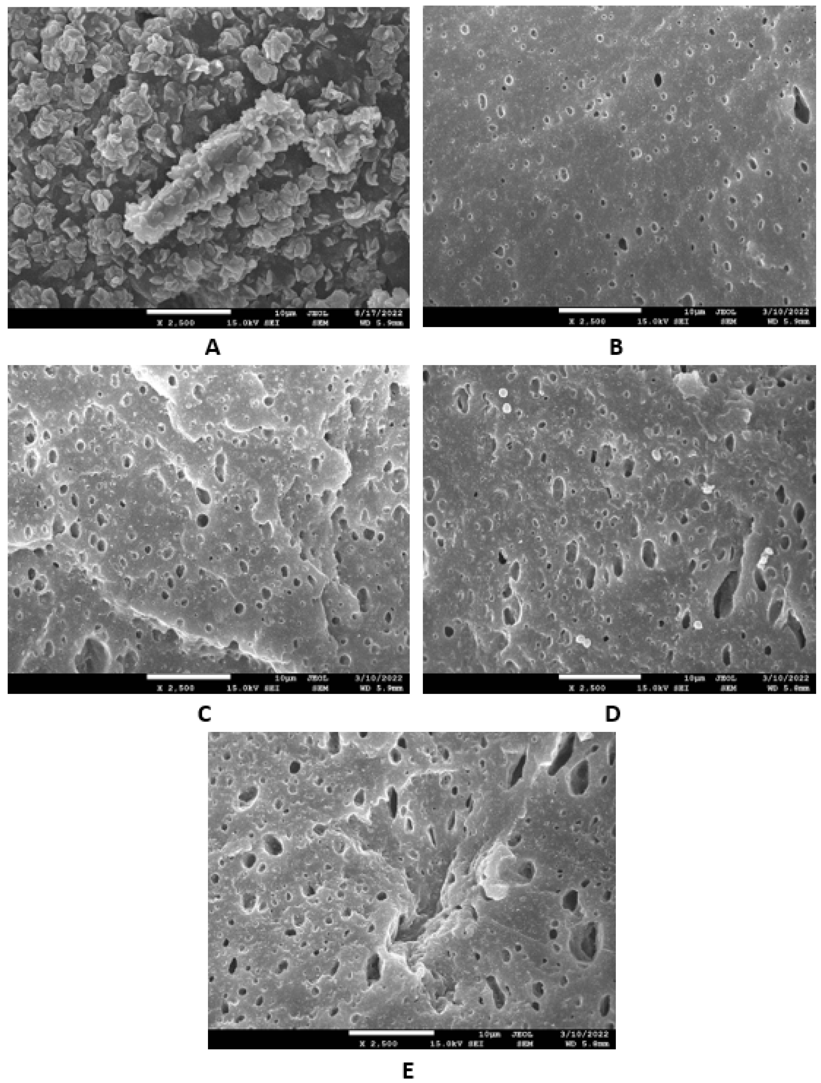 Polymers 14 05356 g021
