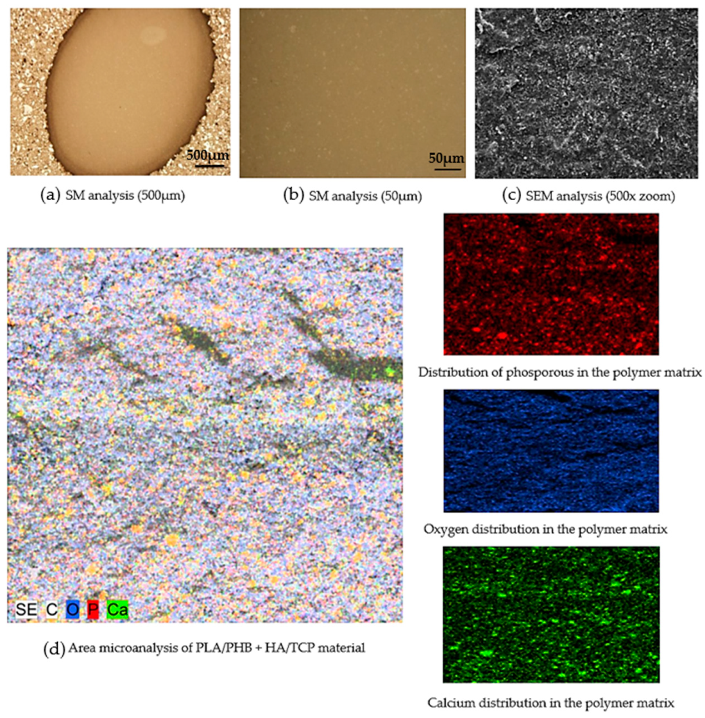 Polymers 14 05357 g008 Polymers 14 05357 g008