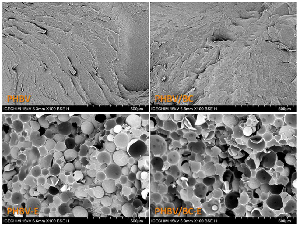 Polymers 14 05358 g001 Polymers 14 05358 g001
