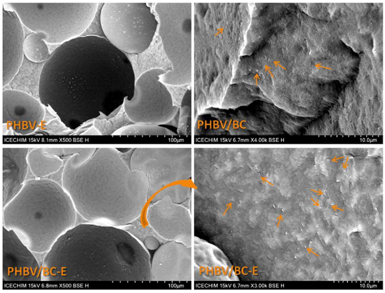 Polymers 14 05358 g002 Polymers 14 05358 g002