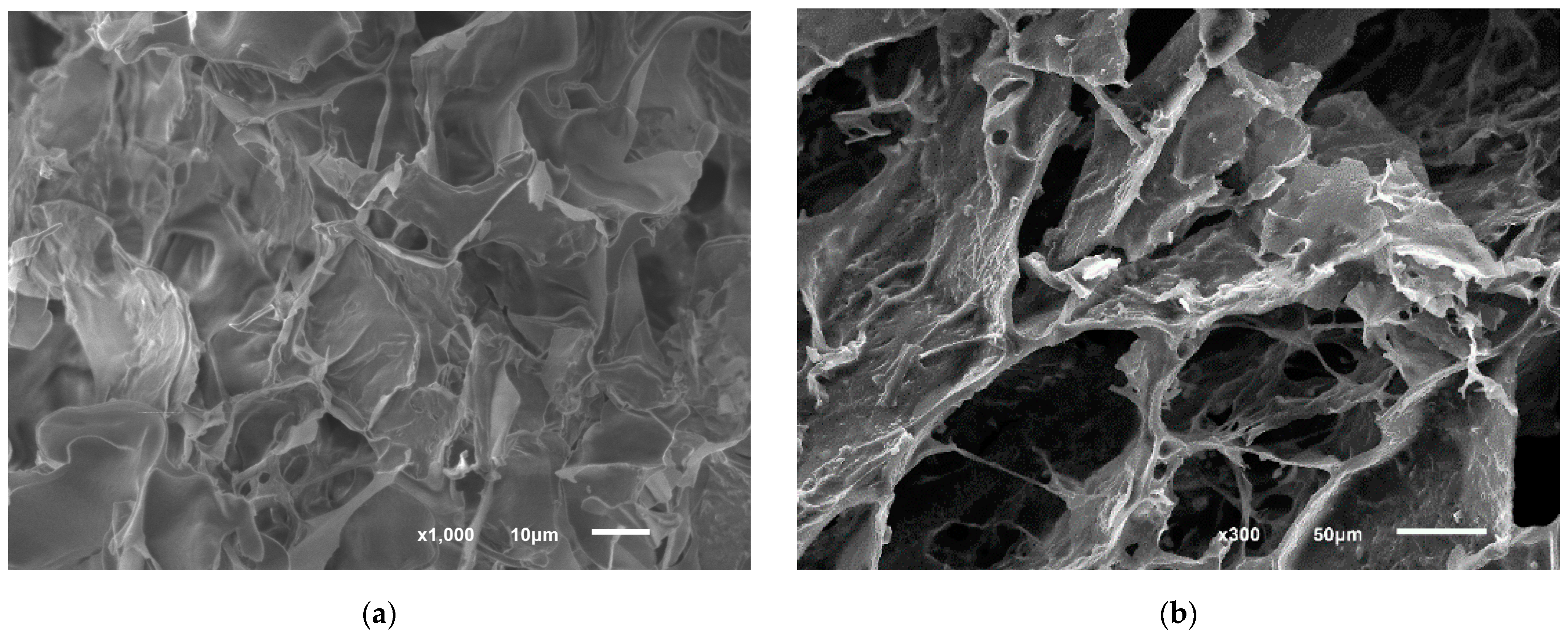 Polymers 14 05366 g008a Polymers 14 05366 g008a