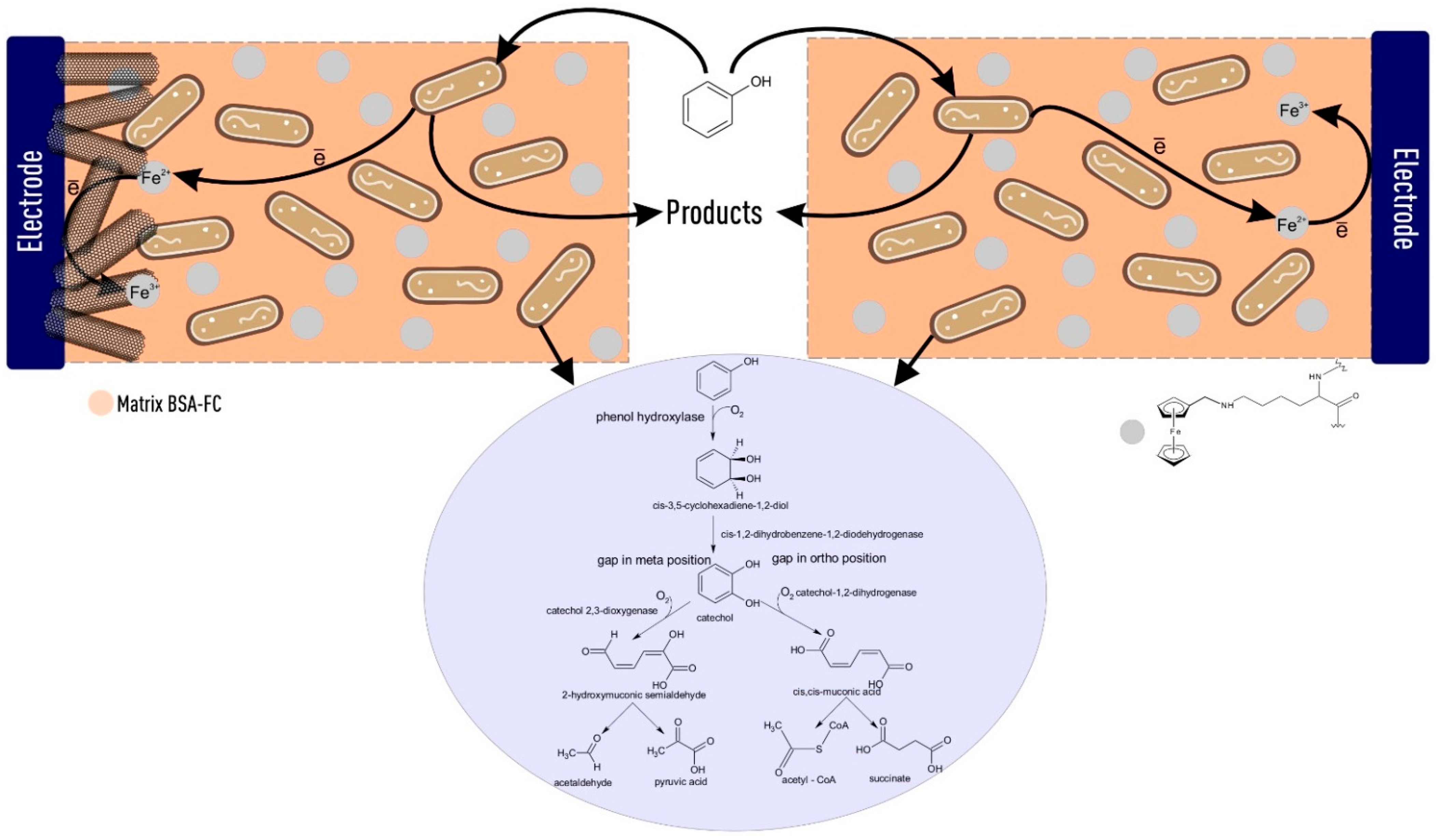 Polymers 14 05366 g009 Polymers 14 05366 g009
