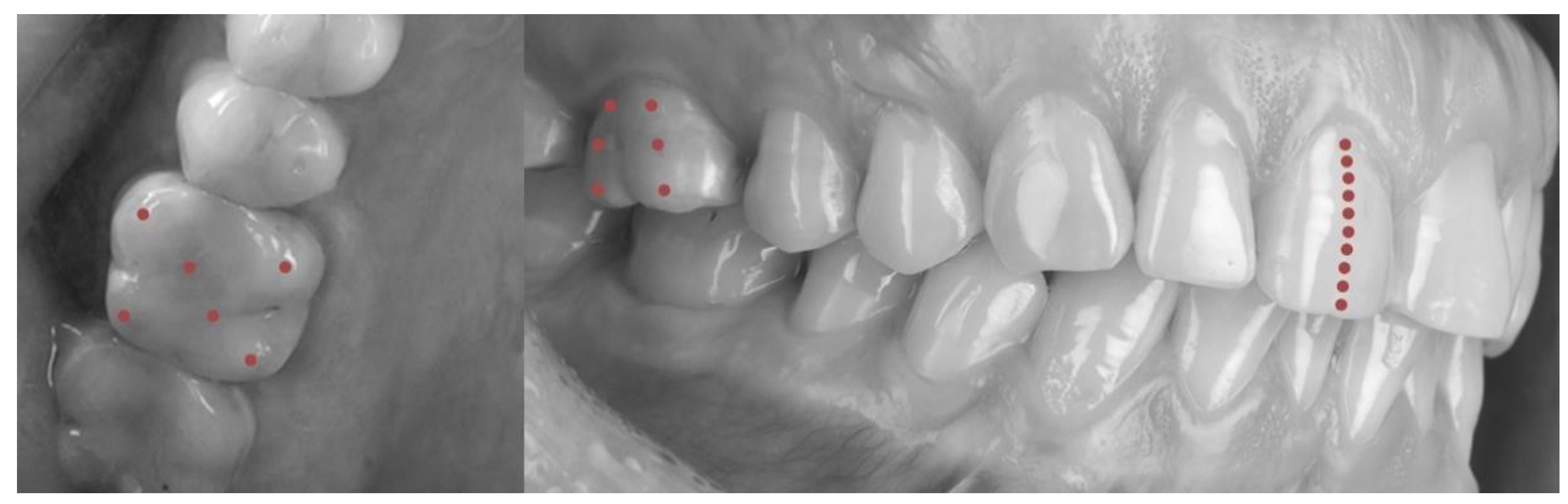 Polymers 14 05369 g003