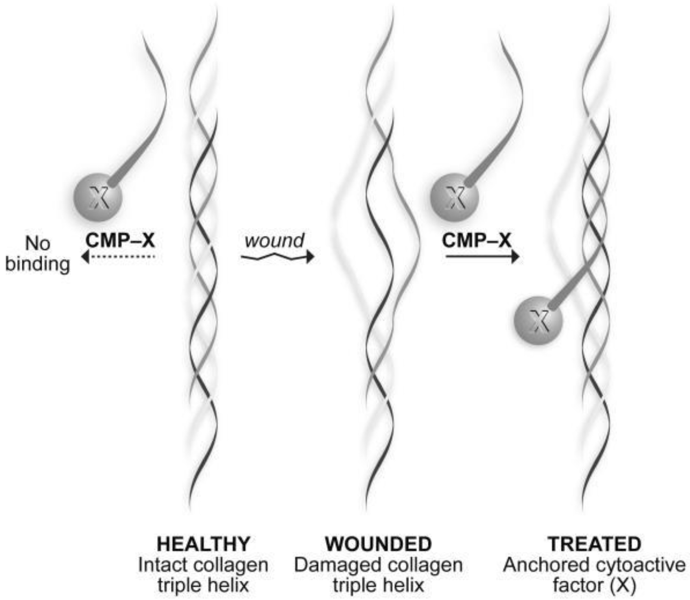 Polymers 14 05371 g005 Polymers 14 05371 g005
