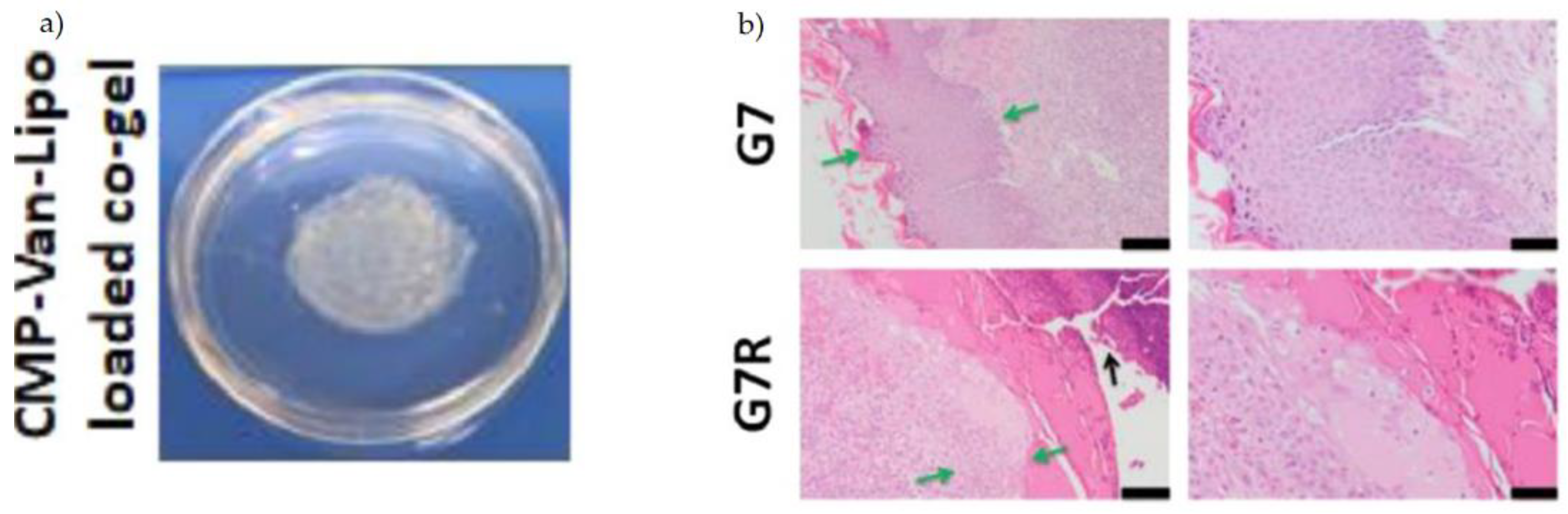 Polymers 14 05371 g006 Polymers 14 05371 g006