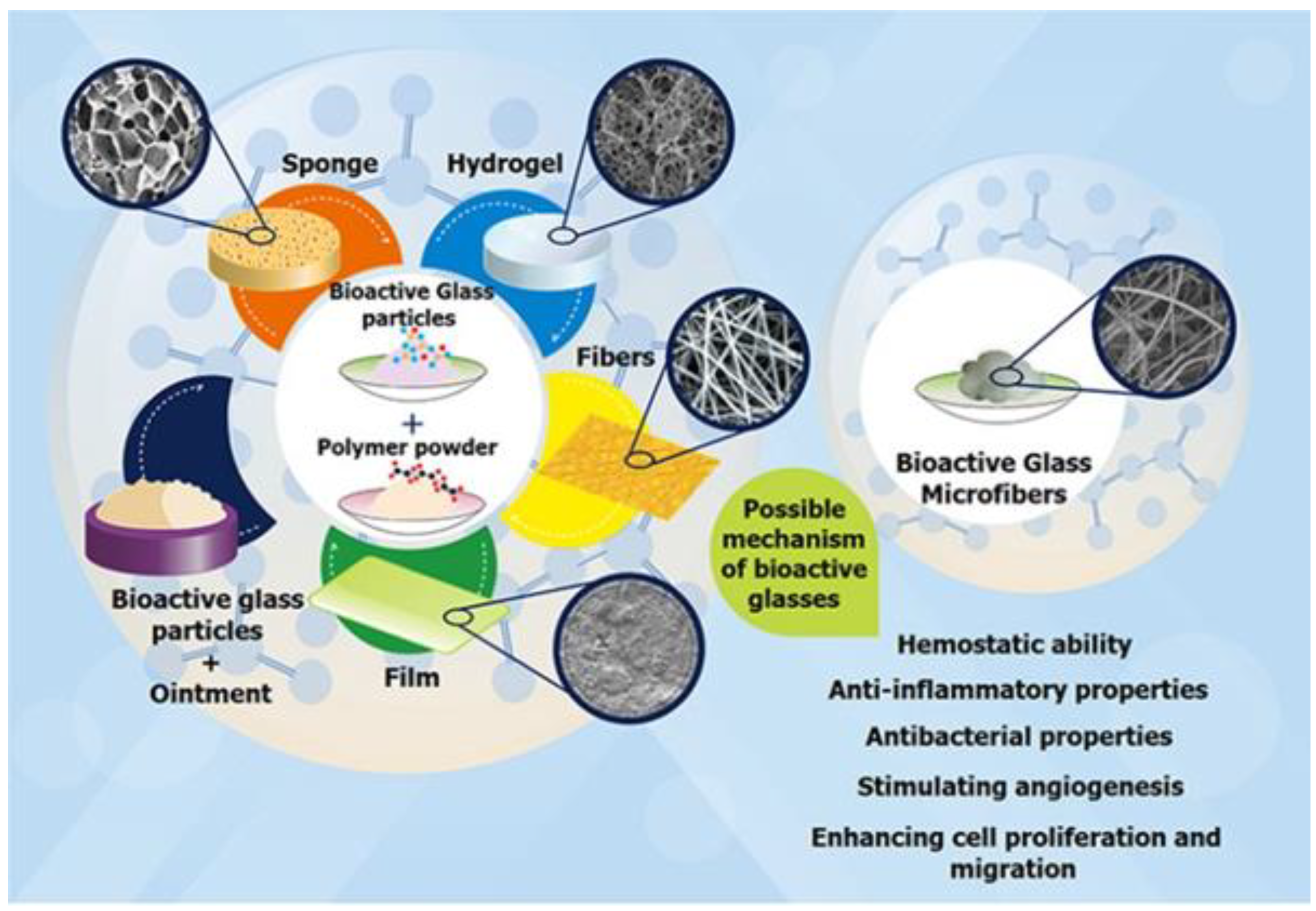 Polymers 14 05371 g010 Polymers 14 05371 g010