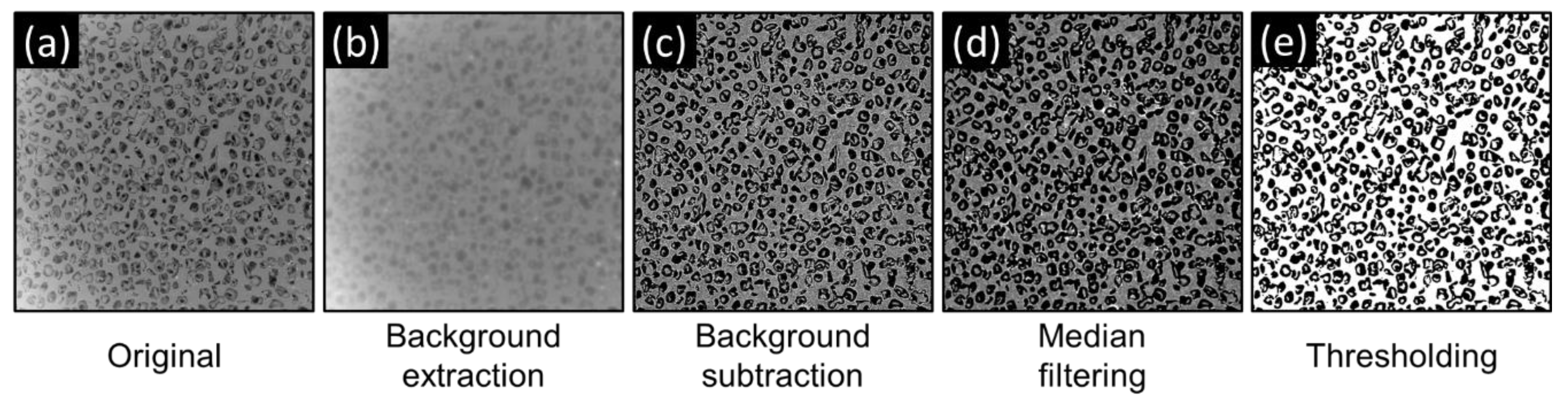 Polymers 14 05374 g003 Polymers 14 05374 g003