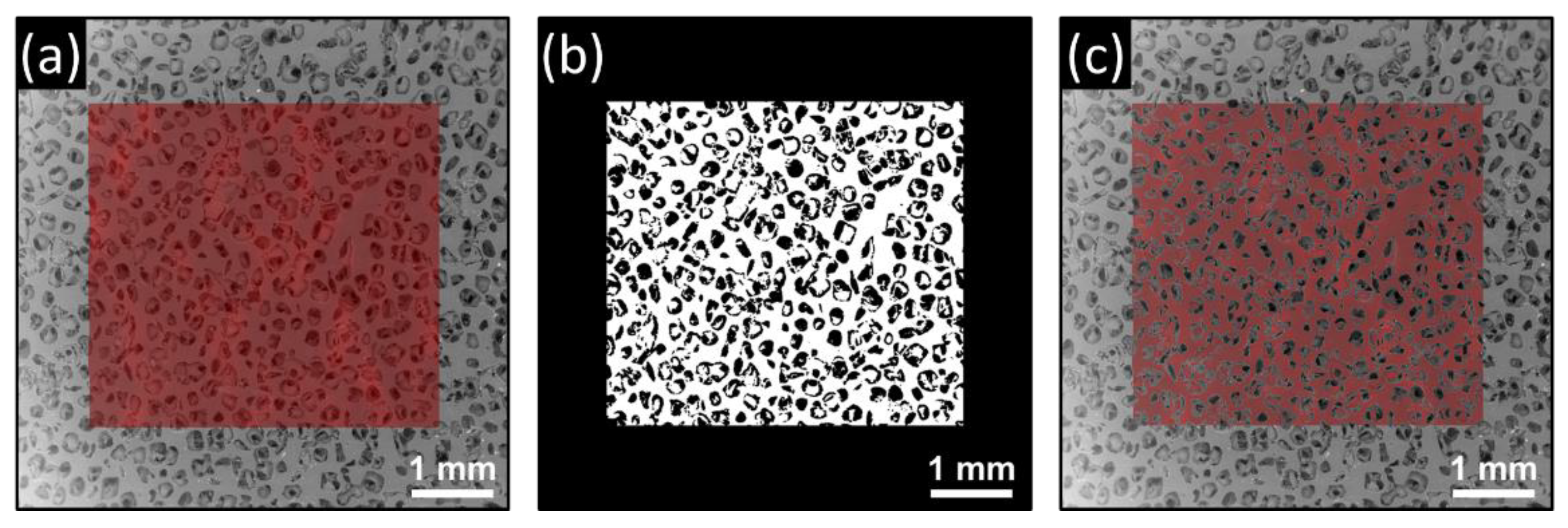Polymers 14 05374 g004 Polymers 14 05374 g004