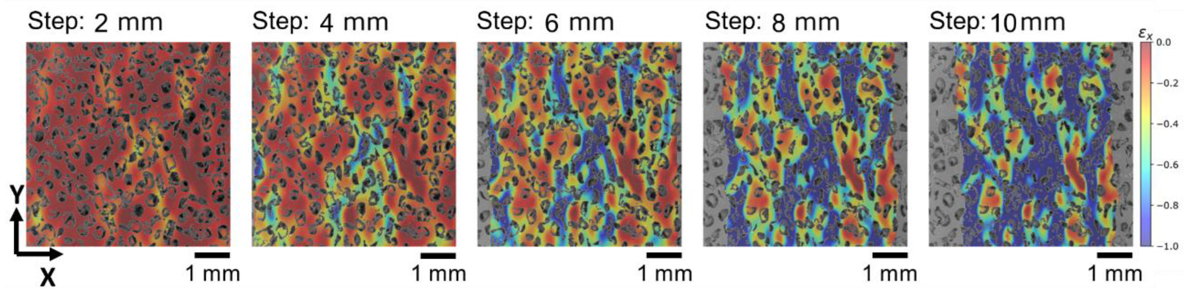 Polymers 14 05374 g008 Polymers 14 05374 g008