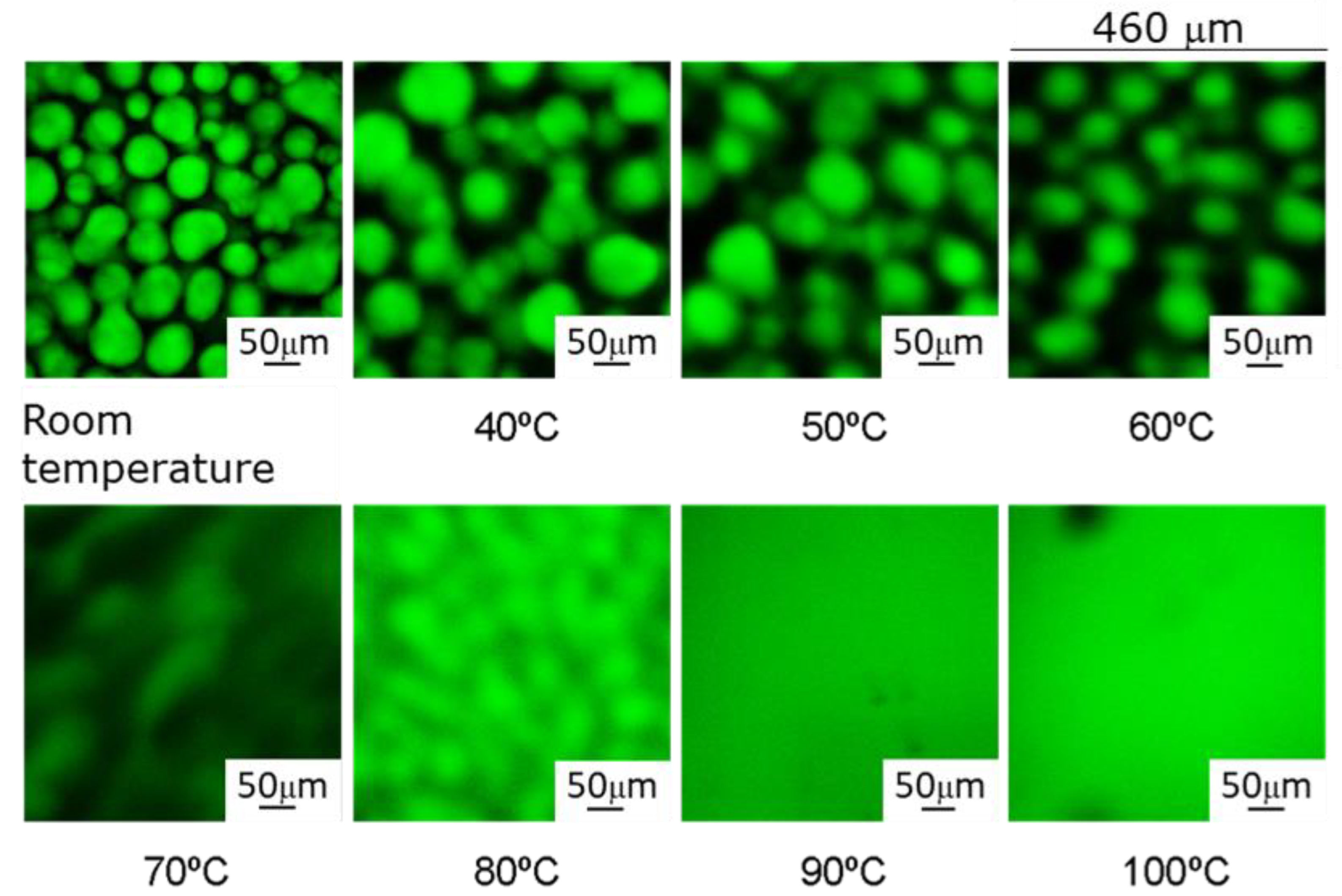 Polymers 14 05375 g002 Polymers 14 05375 g002