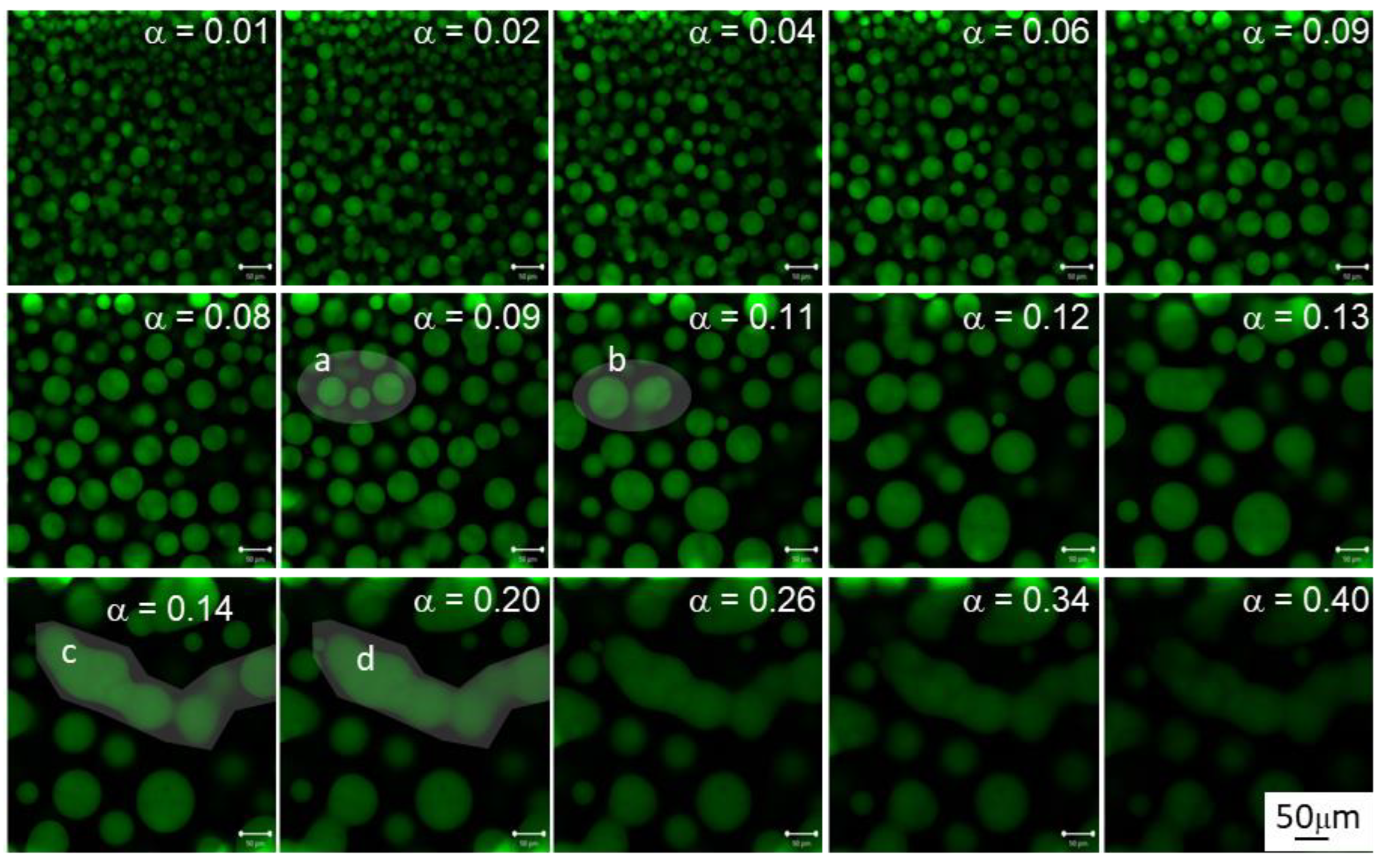Polymers 14 05375 g004 Polymers 14 05375 g004