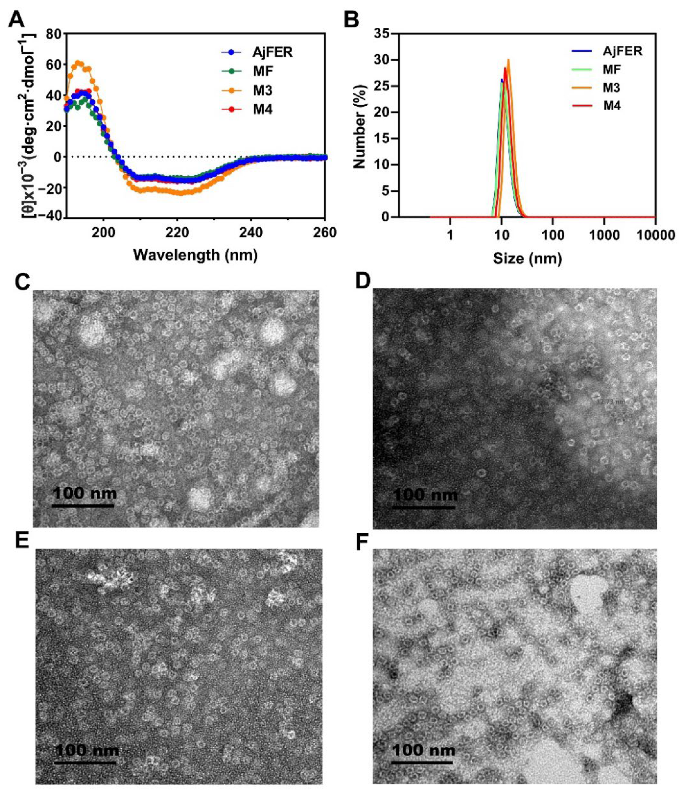 Polymers 14 05378 g001