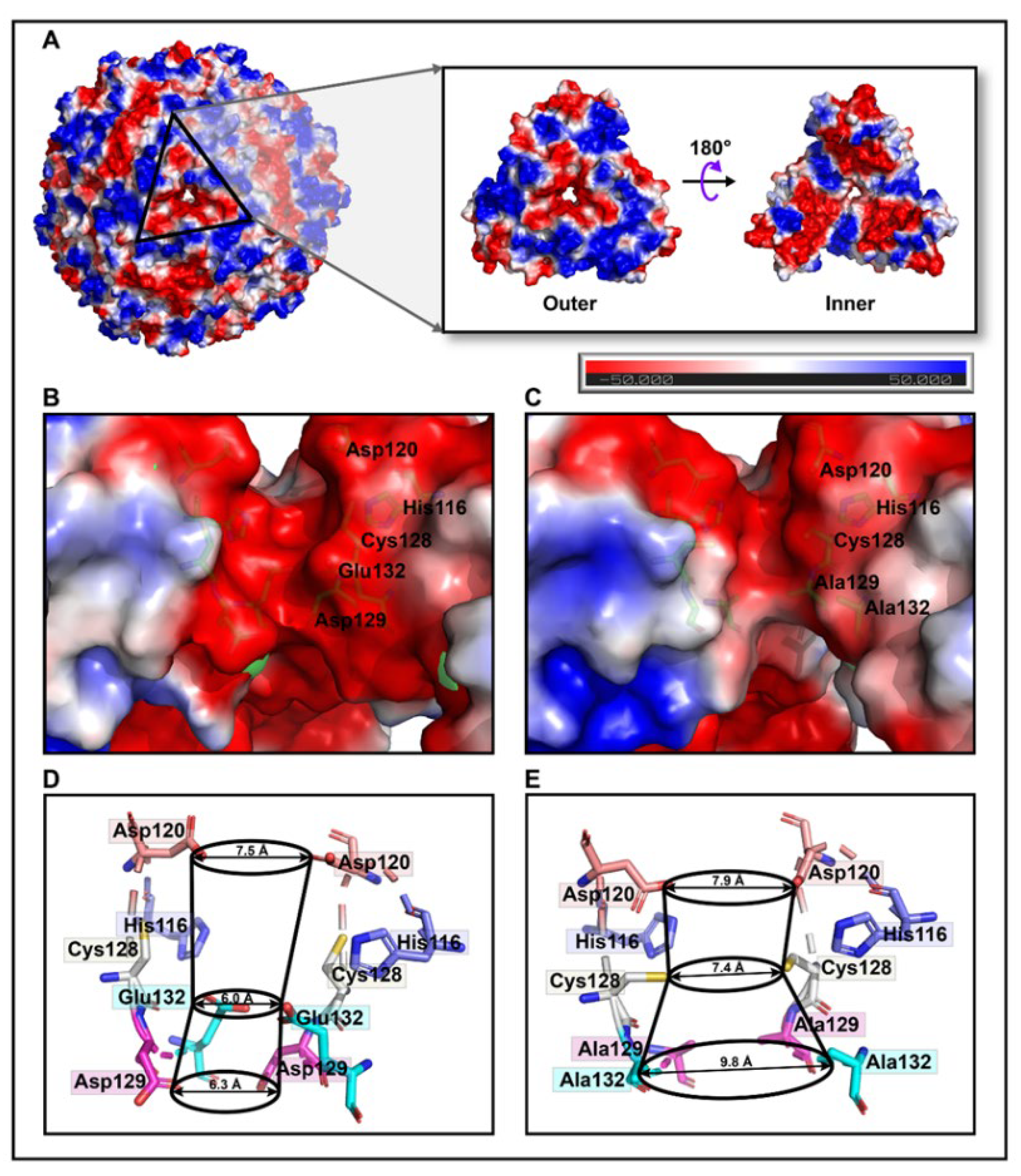 Polymers 14 05378 g003