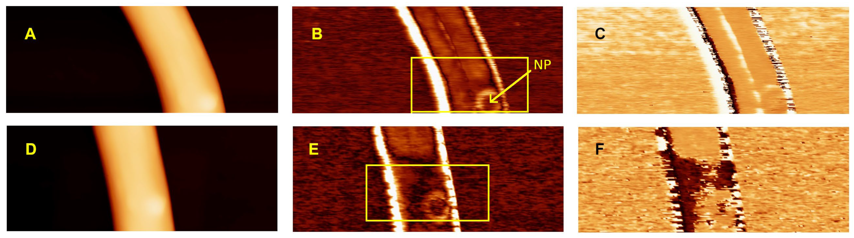 Polymers 14 05379 g003