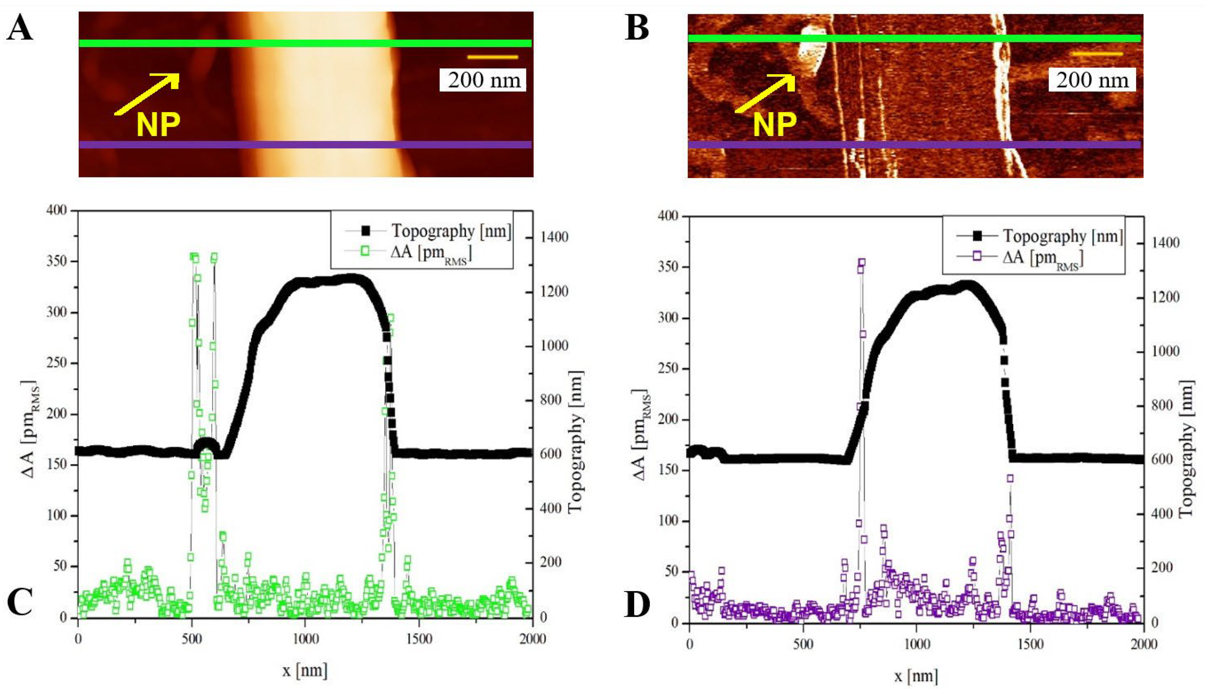 Polymers 14 05379 g004