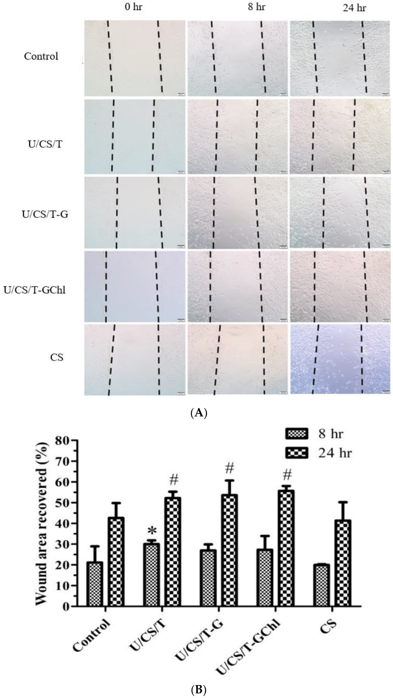 Polymers 14 05382 g005 Polymers 14 05382 g005