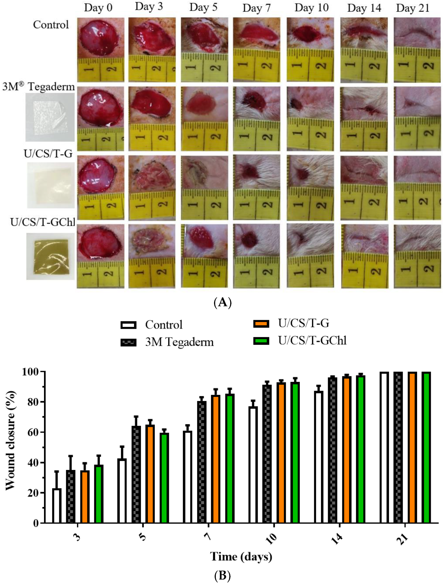 Polymers 14 05382 g008 Polymers 14 05382 g008
