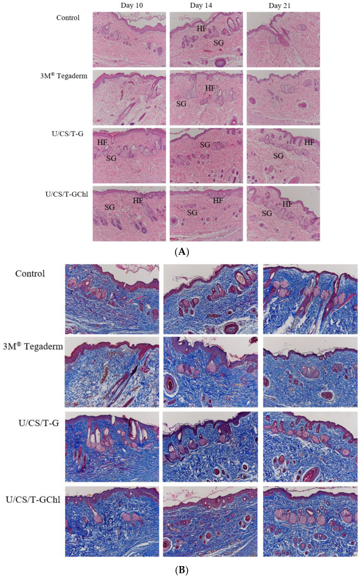 Polymers 14 05382 g010 Polymers 14 05382 g010