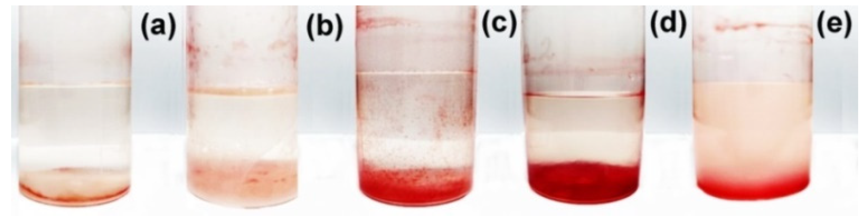 Polymers 14 05383 g007