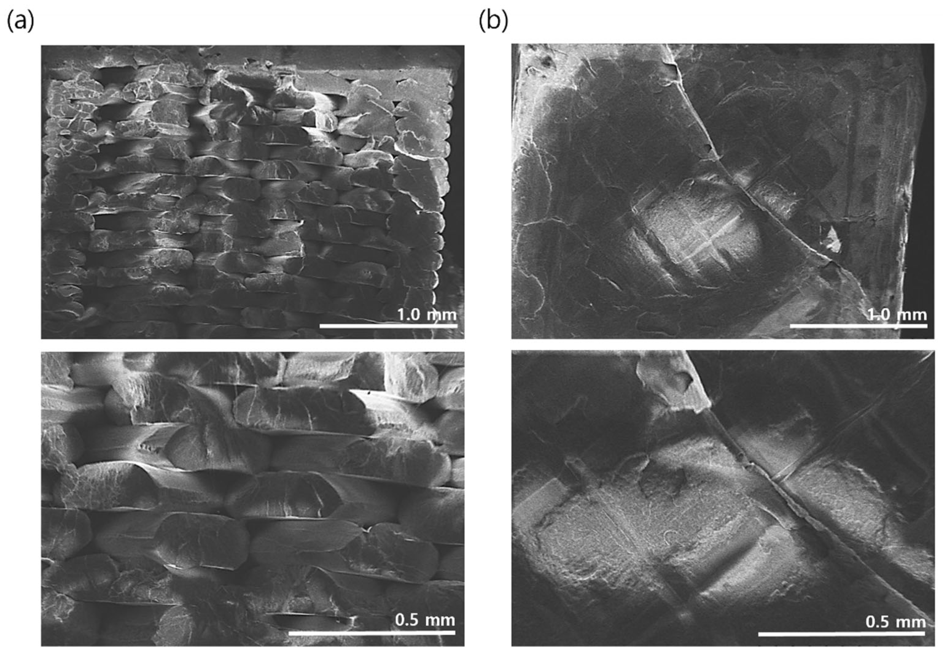 Polymers 14 05385 g008 Polymers 14 05385 g008