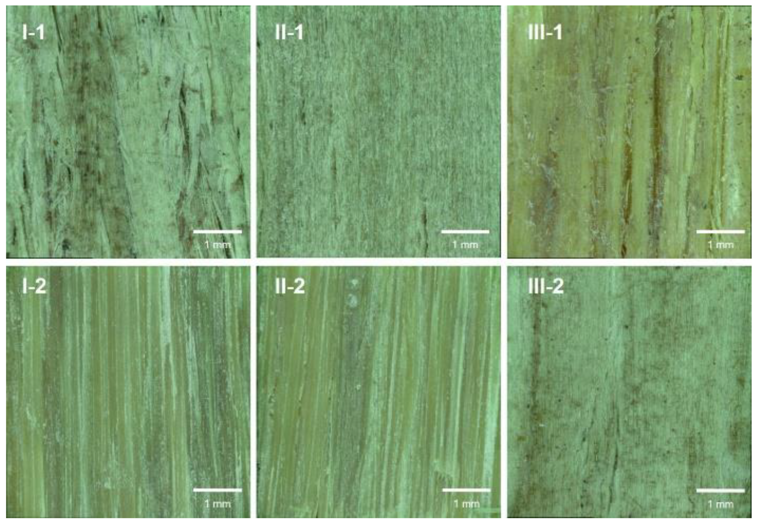 Polymers 14 05386 g003