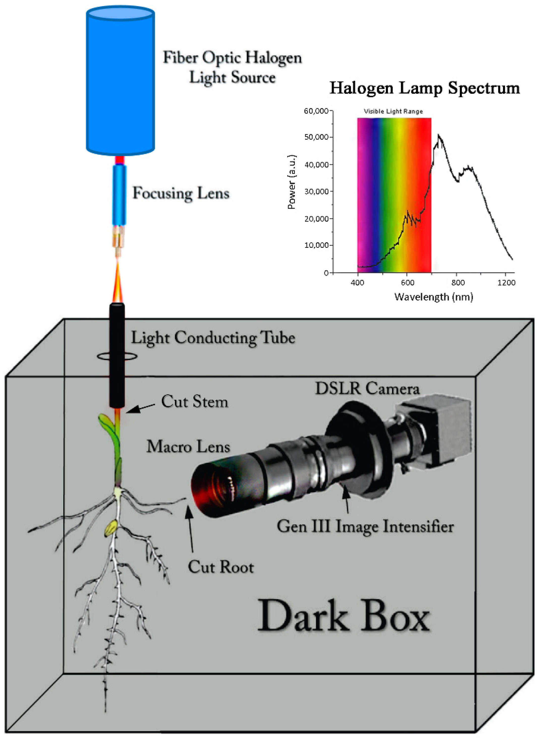 Polymers 14 05387 g001