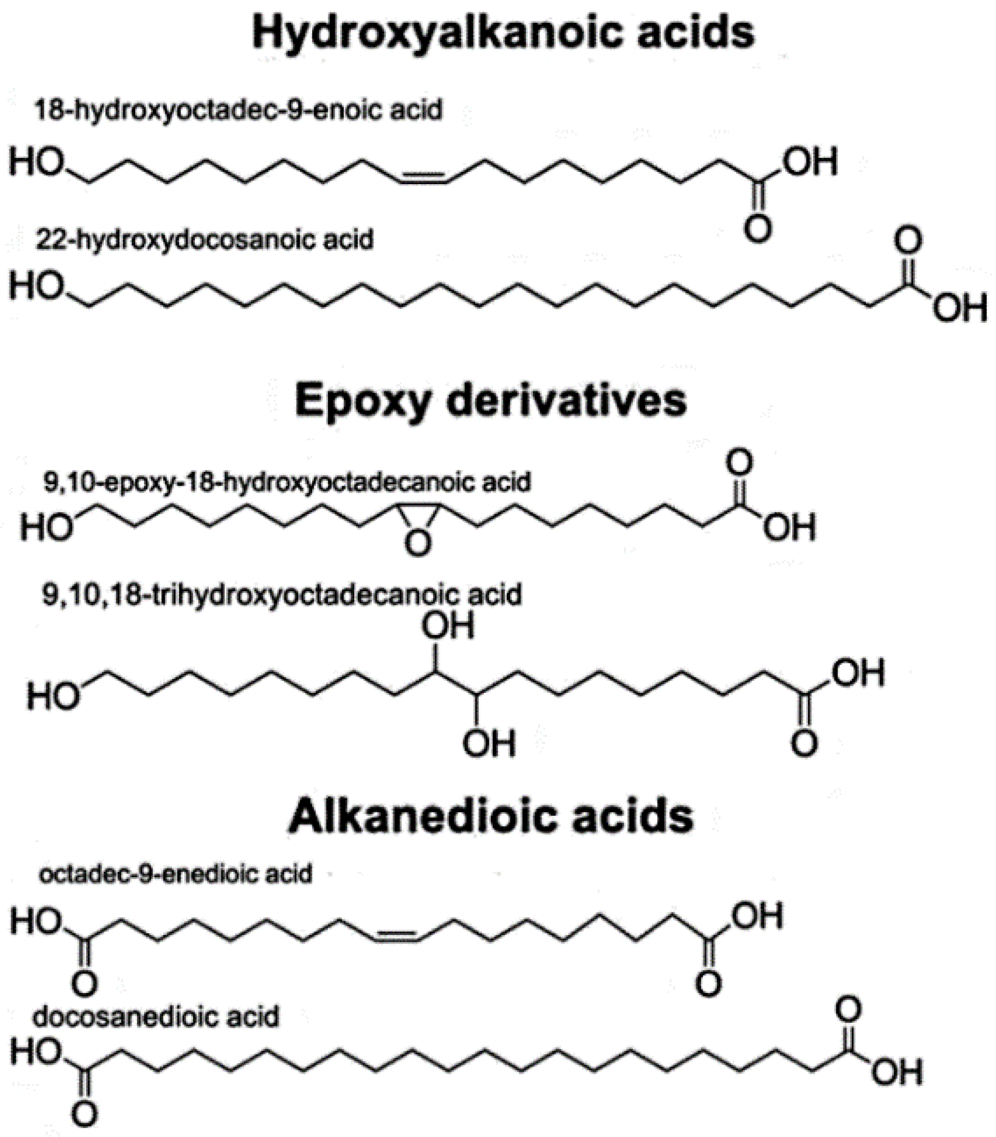 Polymers 14 05387 g003