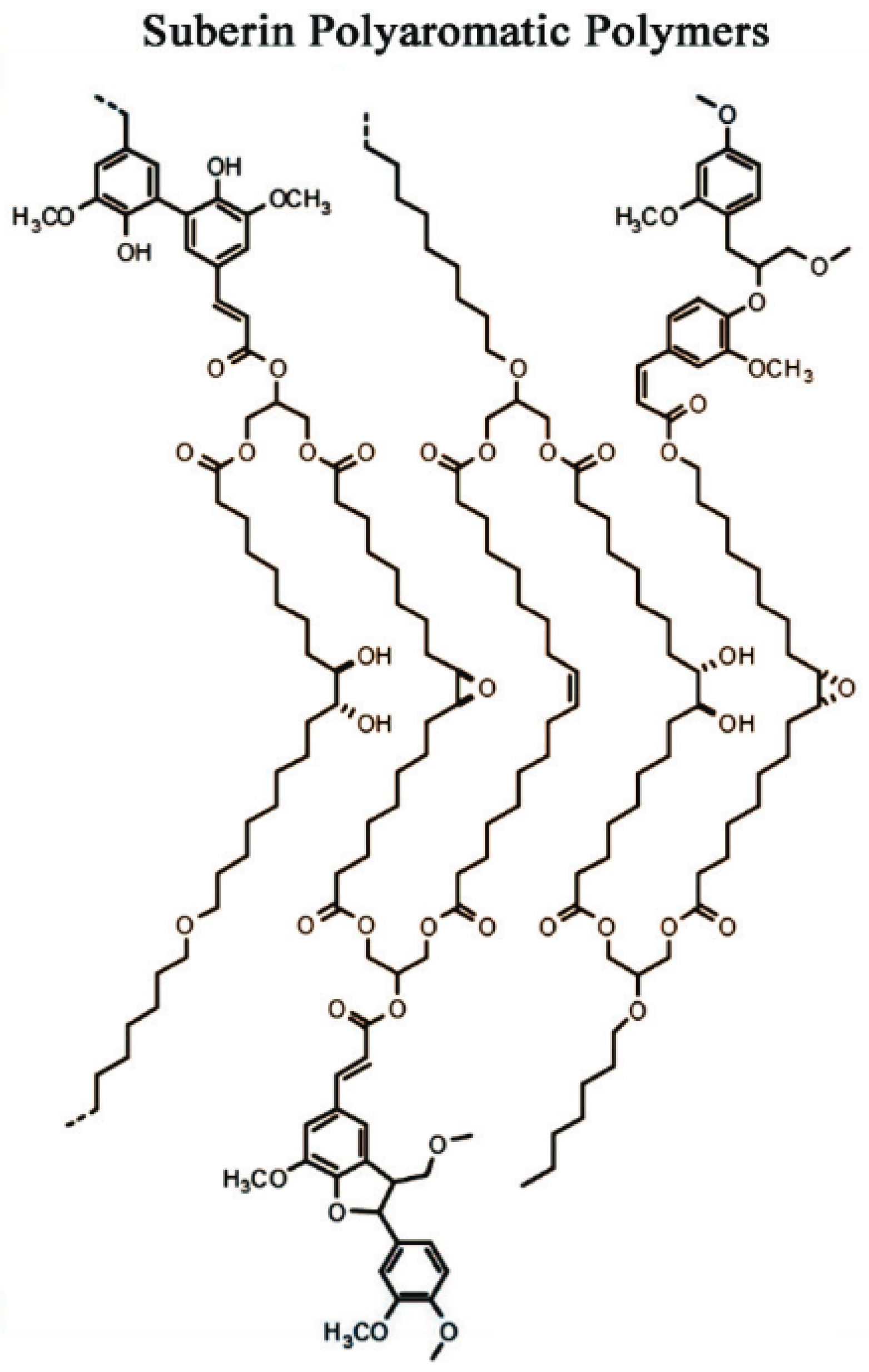 Polymers 14 05387 g004