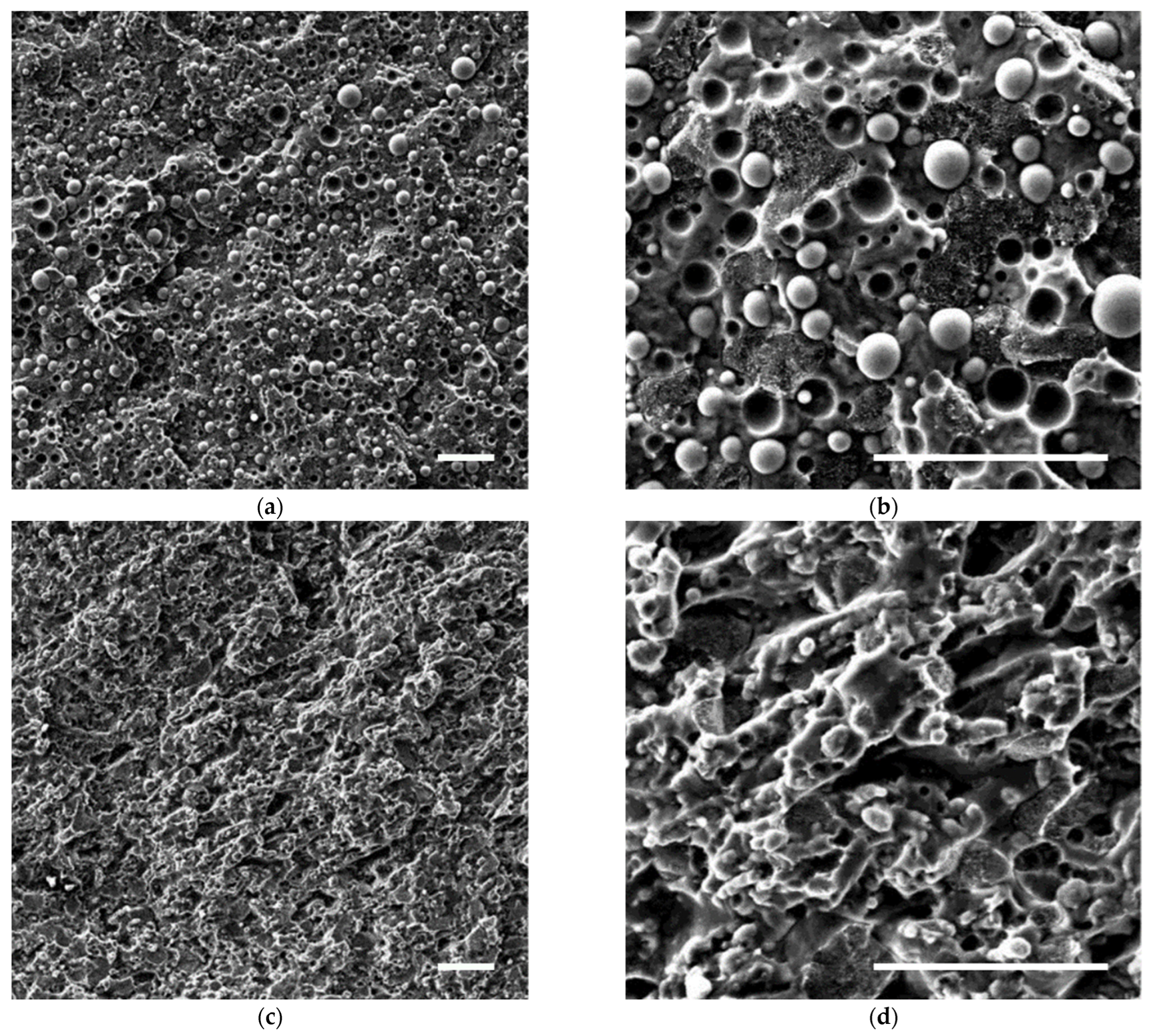 Polymers 14 05390 g001 Polymers 14 05390 g001