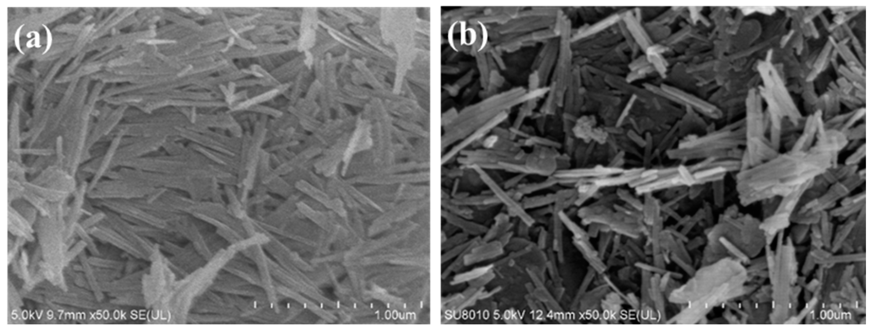 Polymers 14 05391 g002 Polymers 14 05391 g002