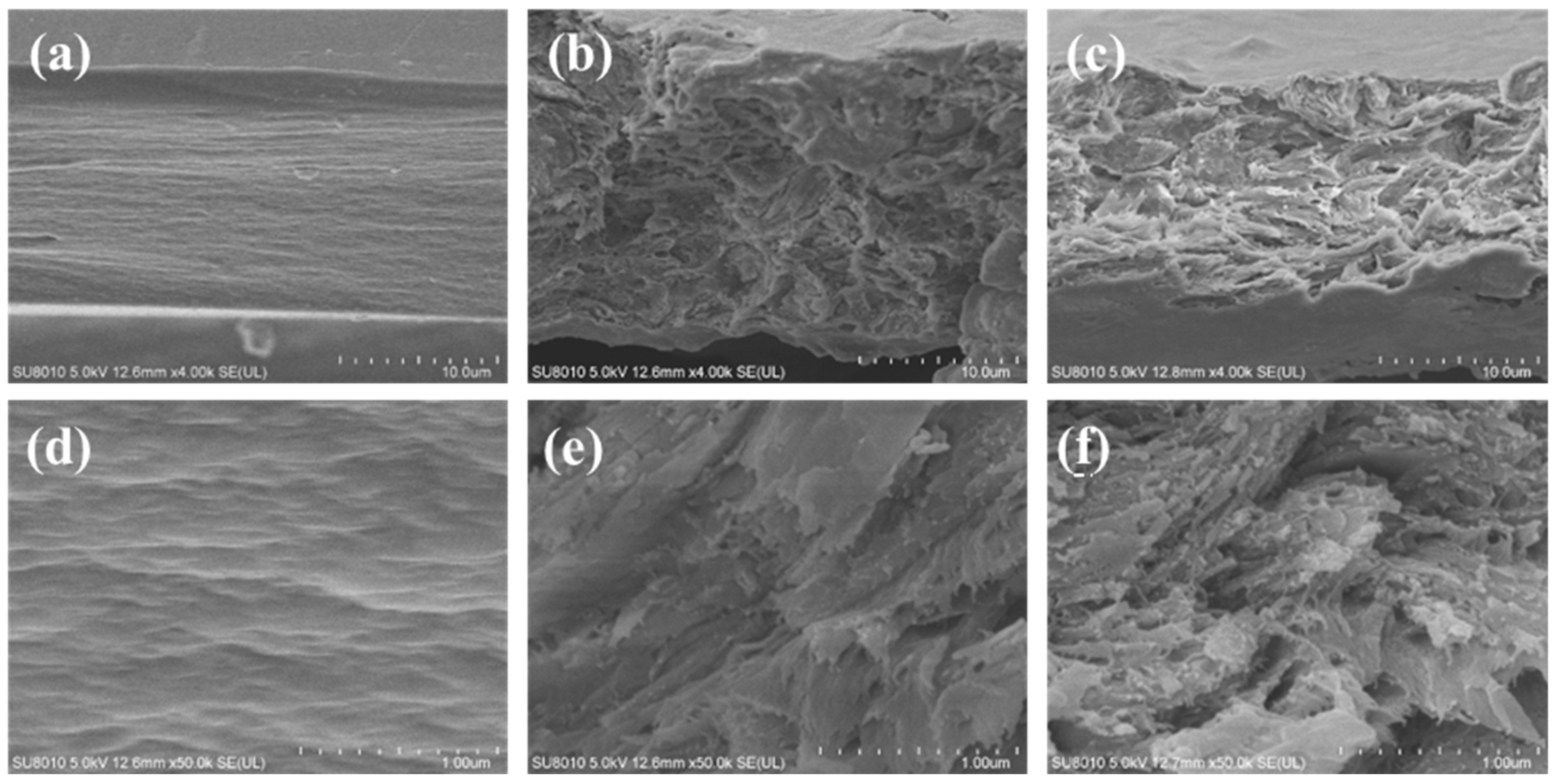 Polymers 14 05391 g005 Polymers 14 05391 g005