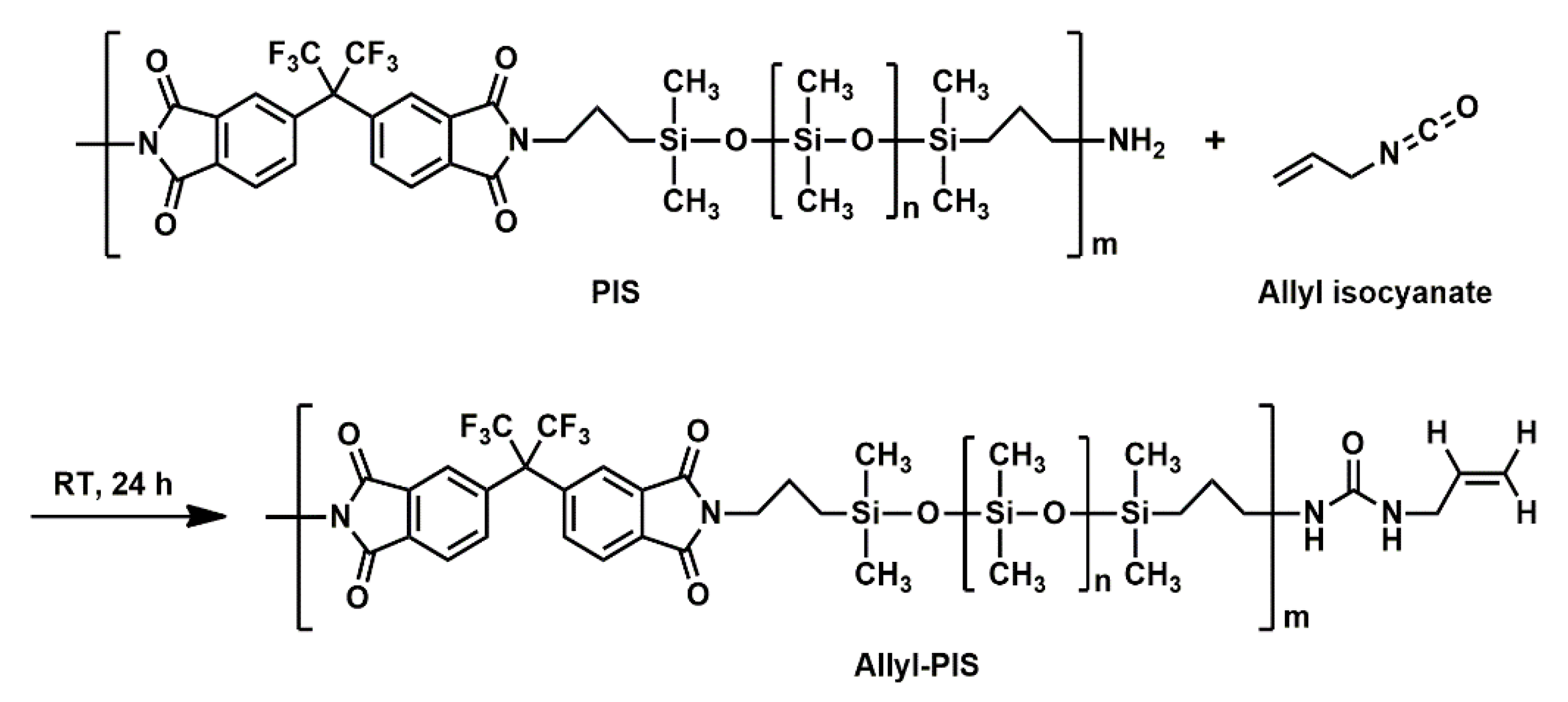 Polymers 14 05392 sch002 Polymers 14 05392 sch002