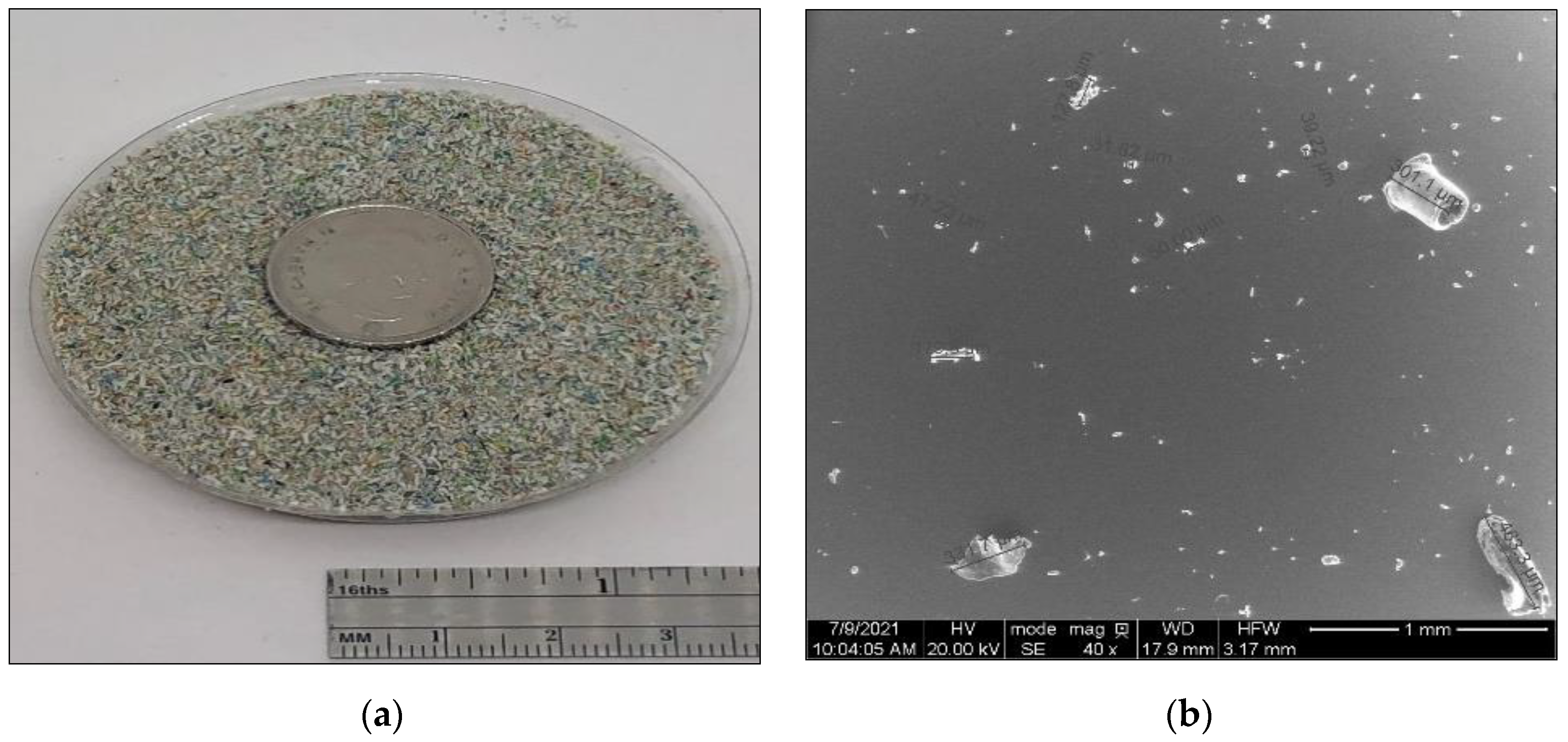 Polymers 14 05396 g001a
